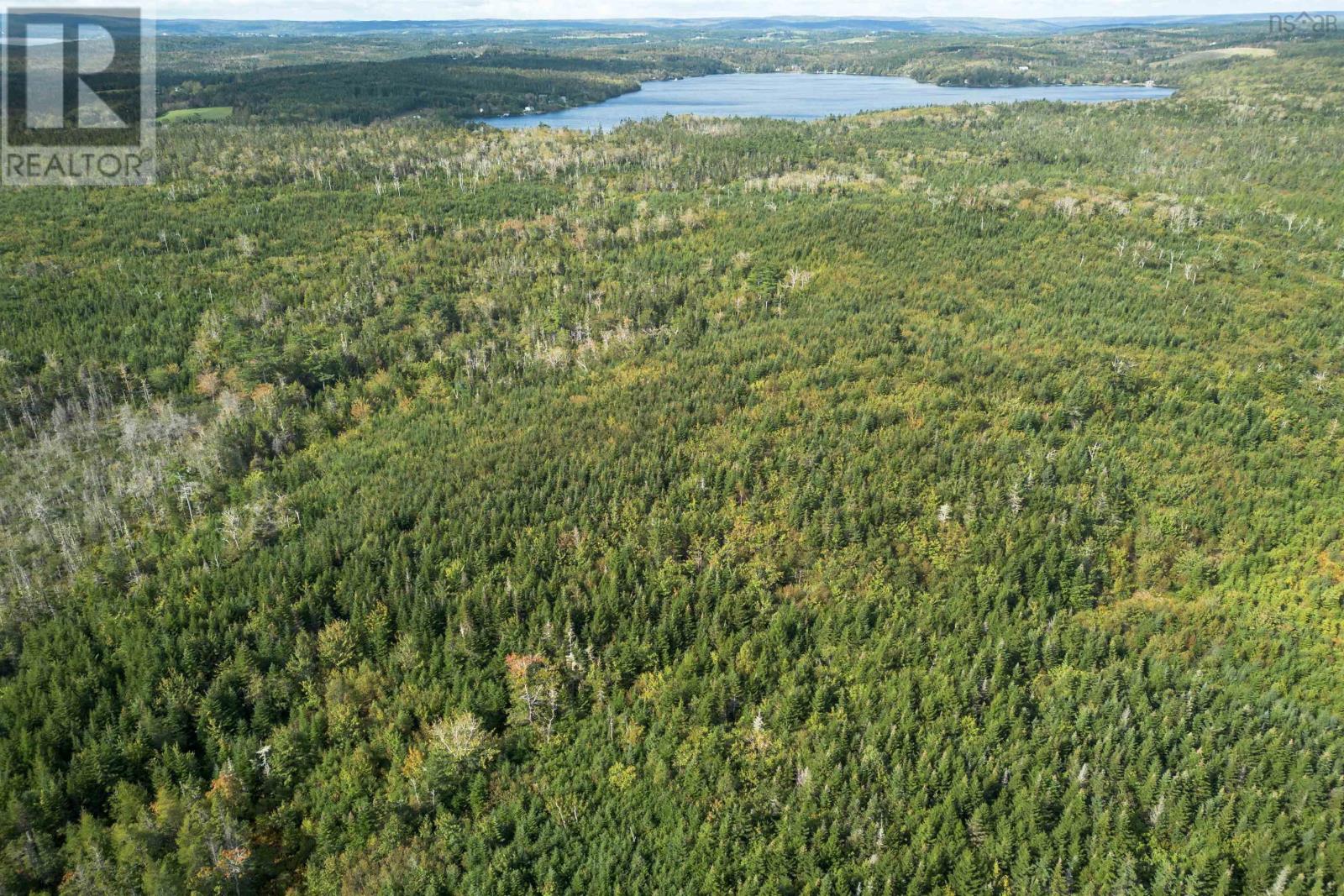 166 Acres 344 Highway Property Photo 8