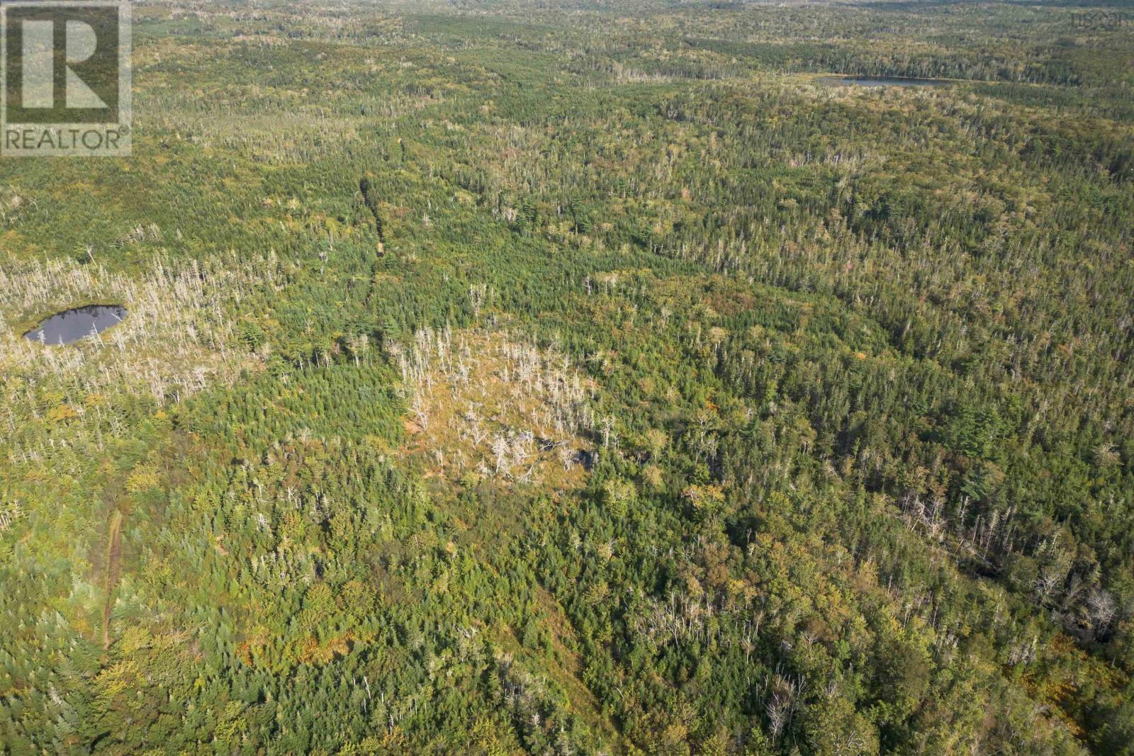 166 Acres 344 Highway Property Photo 9
