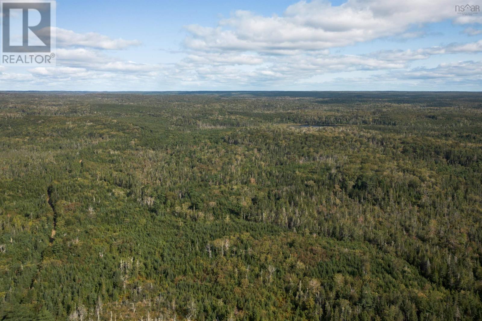 166 Acres 344 Highway Property Photo 11