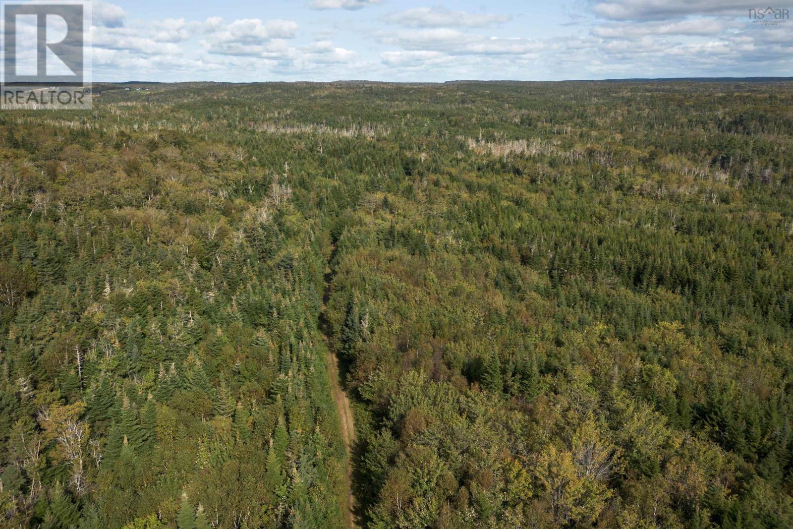 166 Acres 344 Highway Property Photo 12