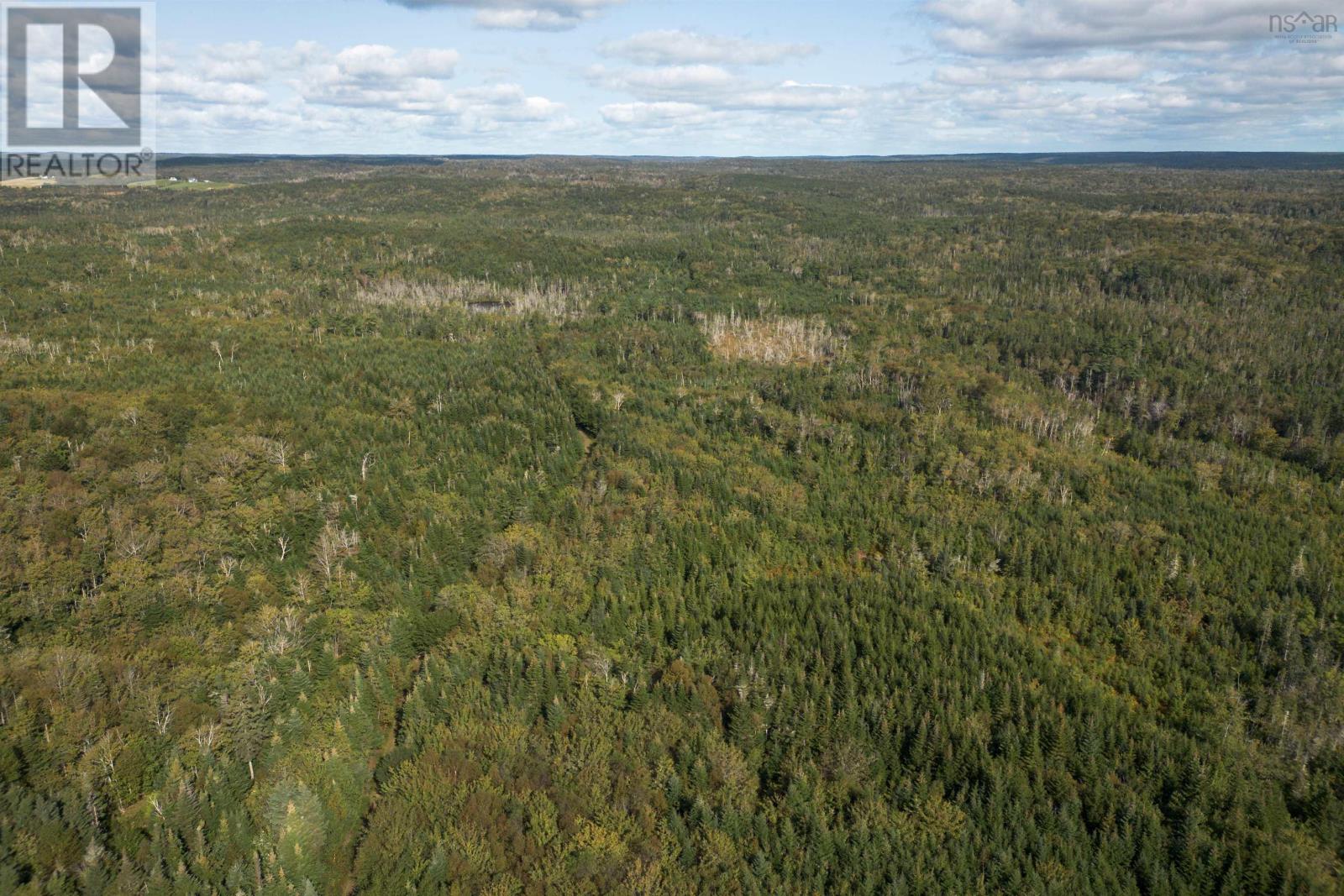 166 Acres 344 Highway Property Photo 13