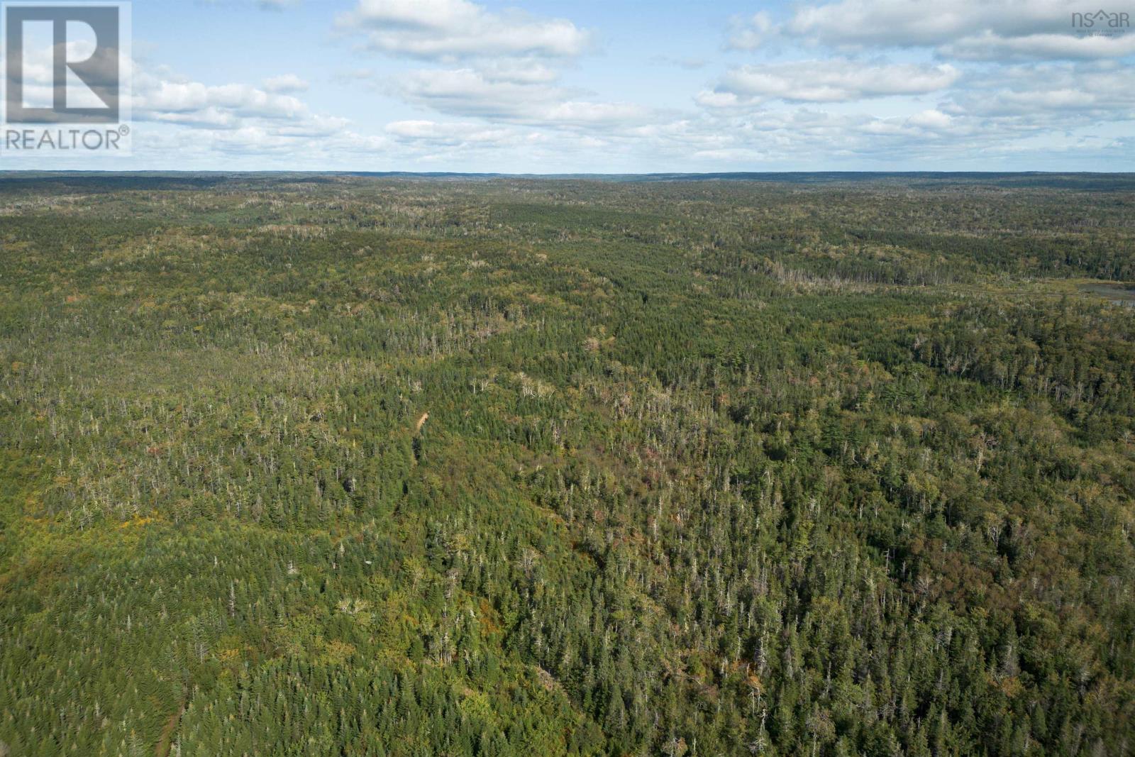 166 Acres 344 Highway Property Photo 16