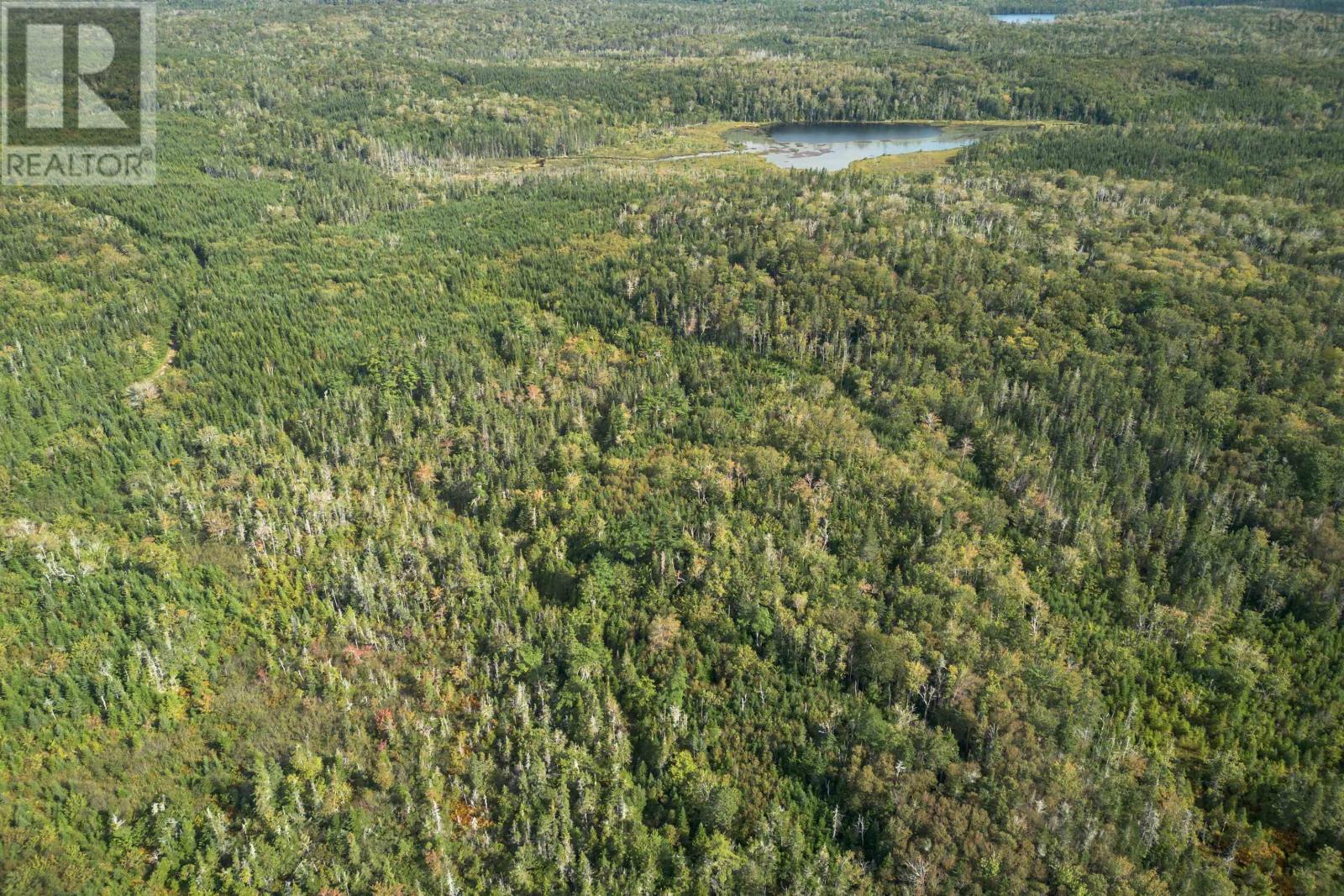 166 Acres 344 Highway Property Photo 17