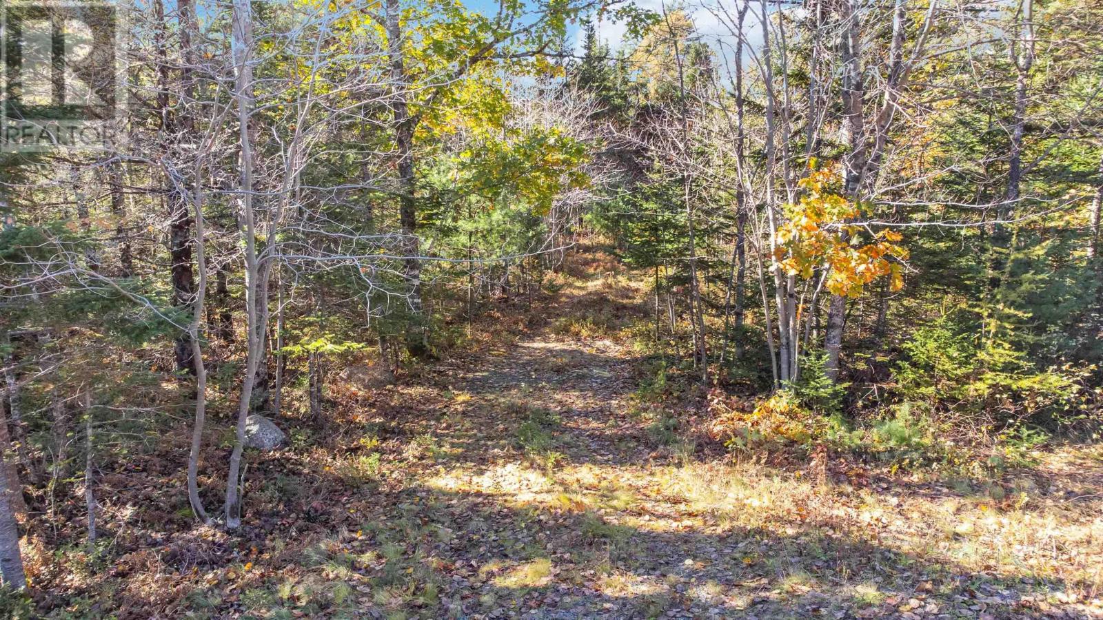 Highway 208 Property Photo 8