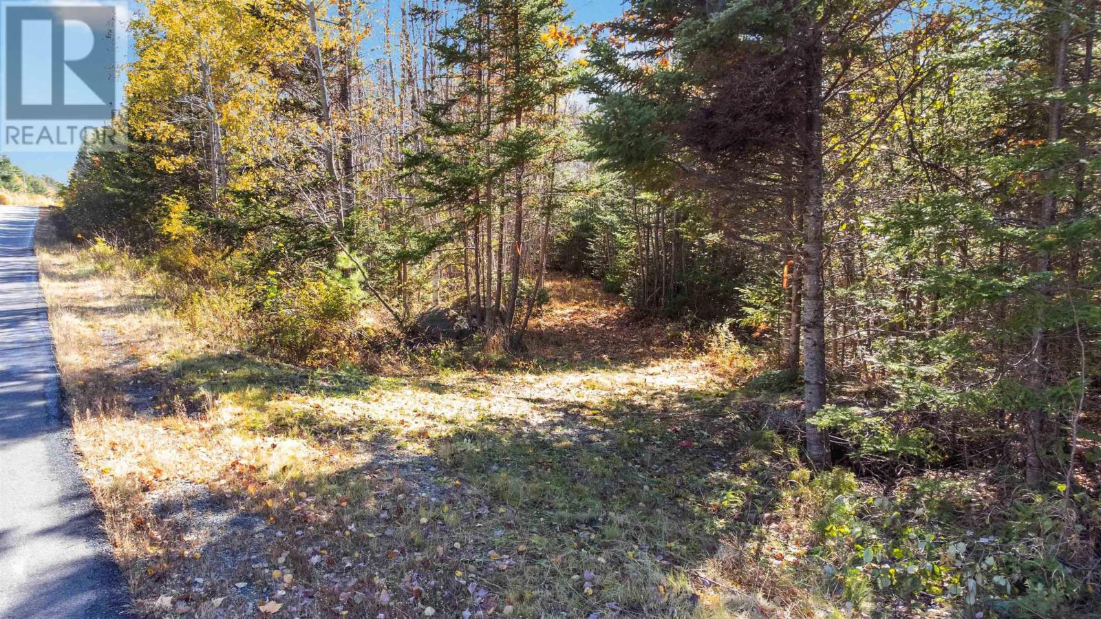 Highway 208 Property Photo 10