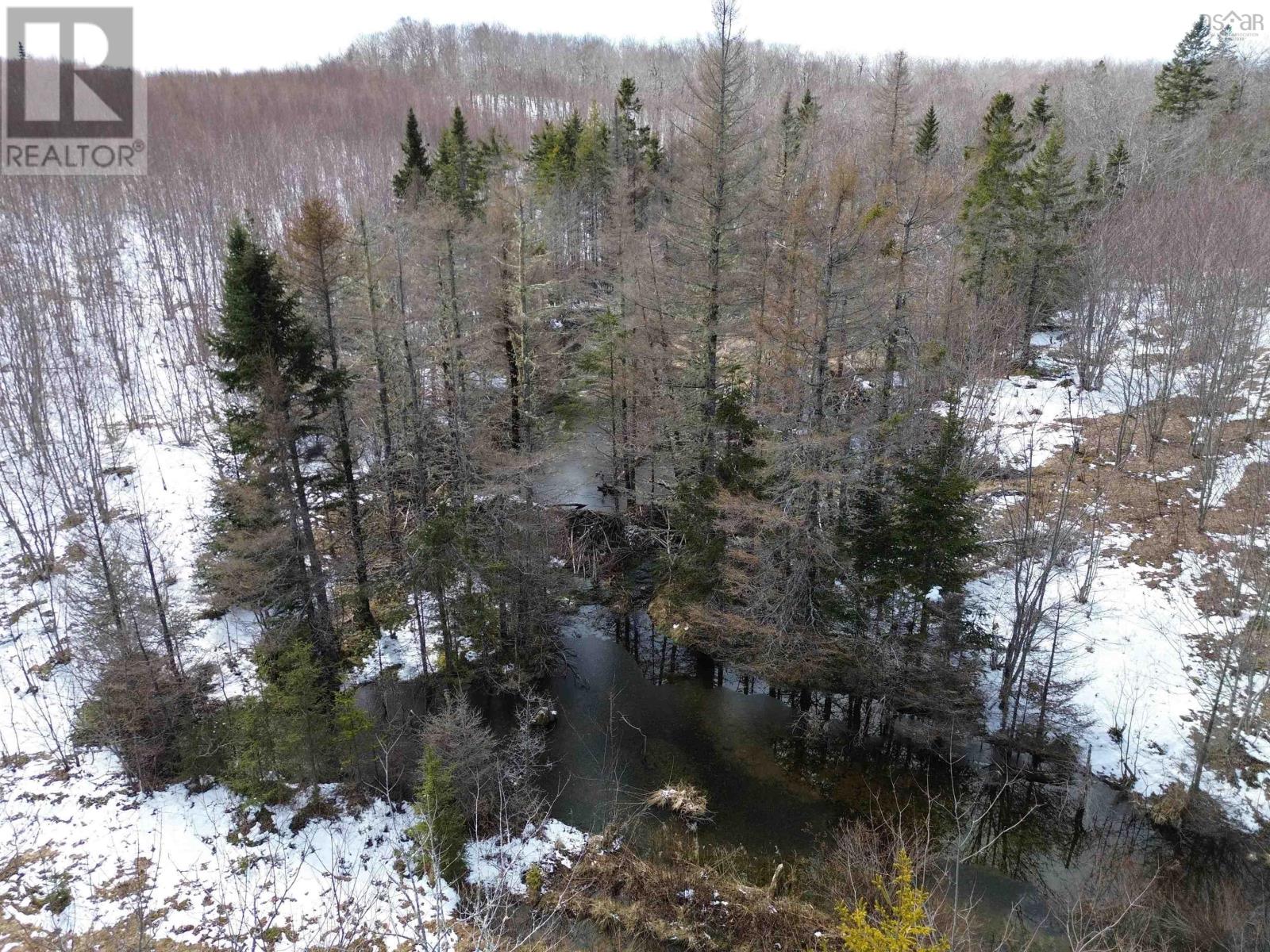Old Antigonish Road Property Photo 10