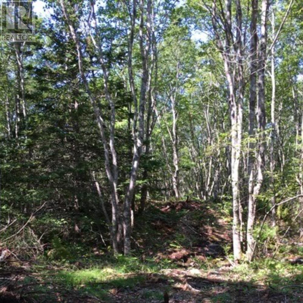 Lot 21 2 Spyglass Way Property Photo 2