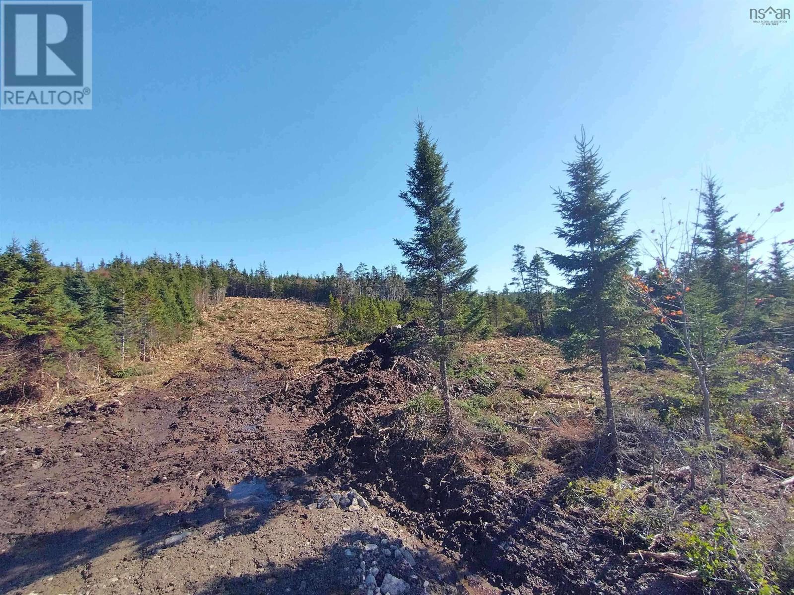 Lot 0 Ostrea Lake Road Property Photo 2