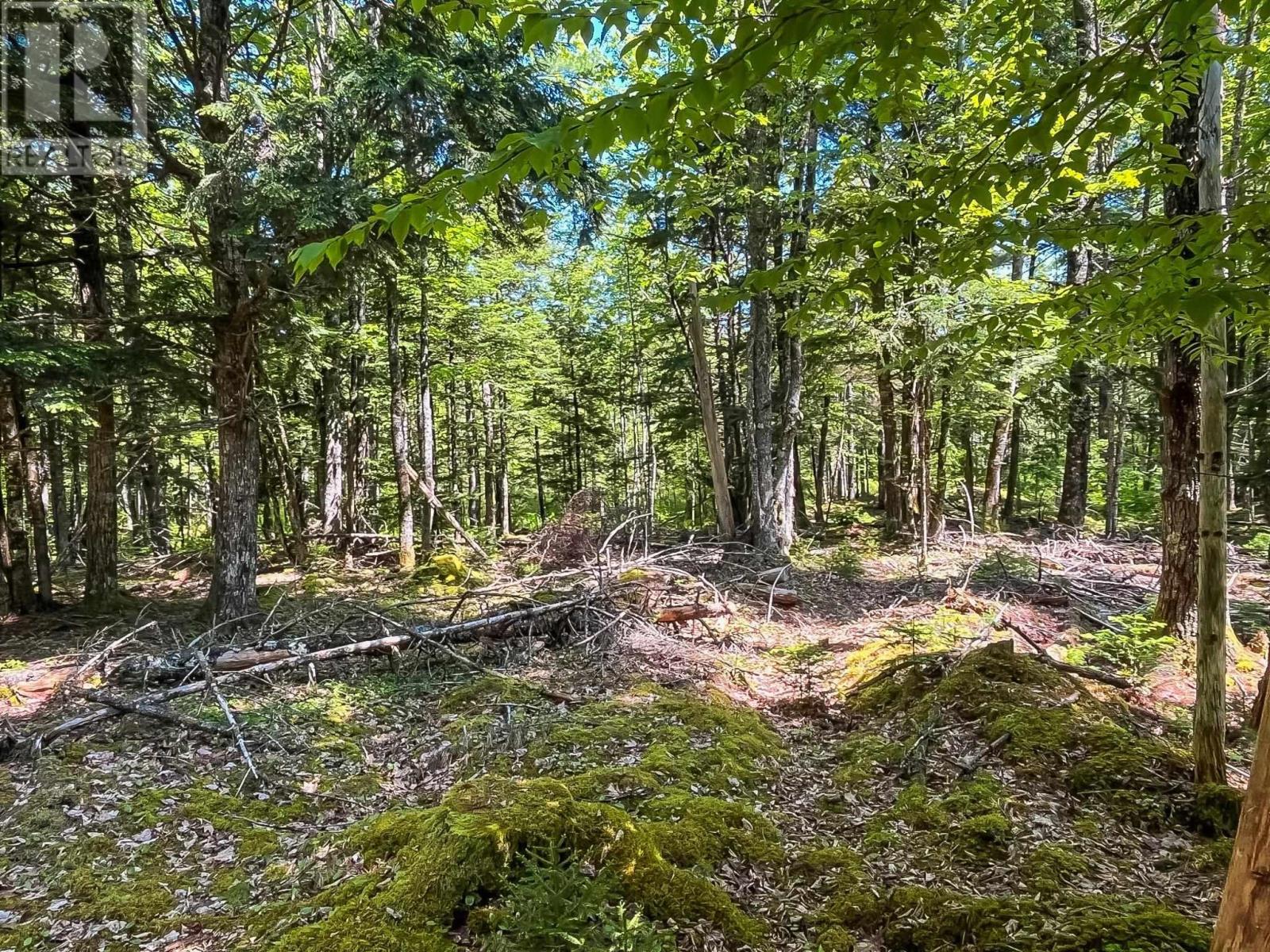 Lot 1000 Conquerall Road Property Photo 1