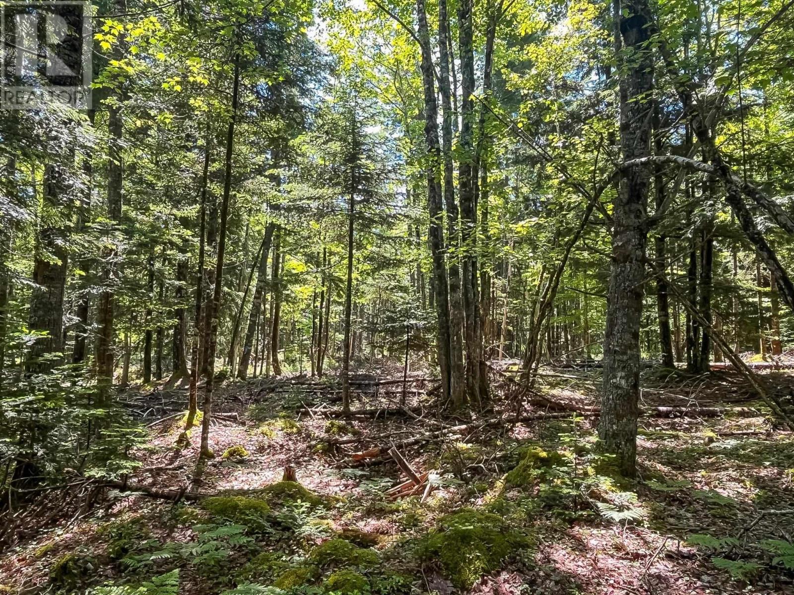 Lot 1000 Conquerall Road Property Photo 2