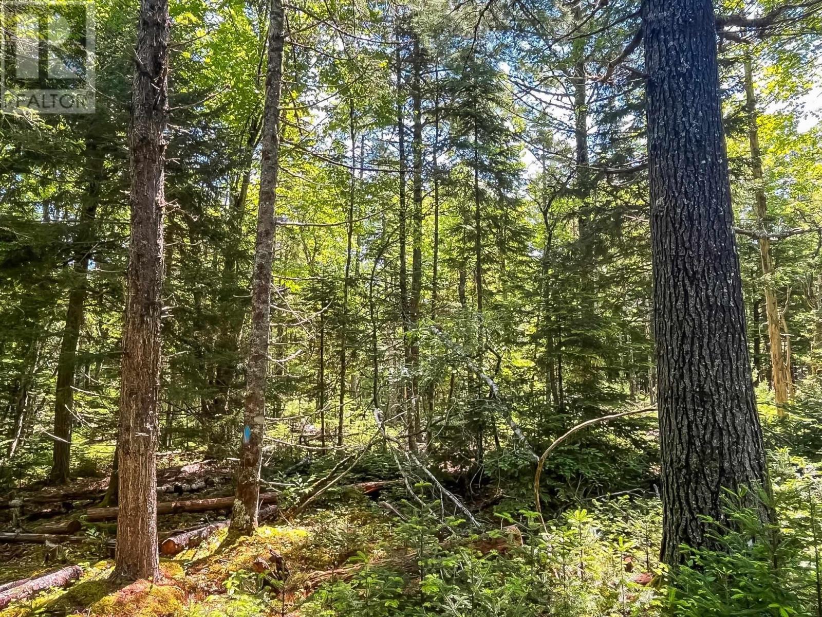 Lot 1000 Conquerall Road Property Photo 3