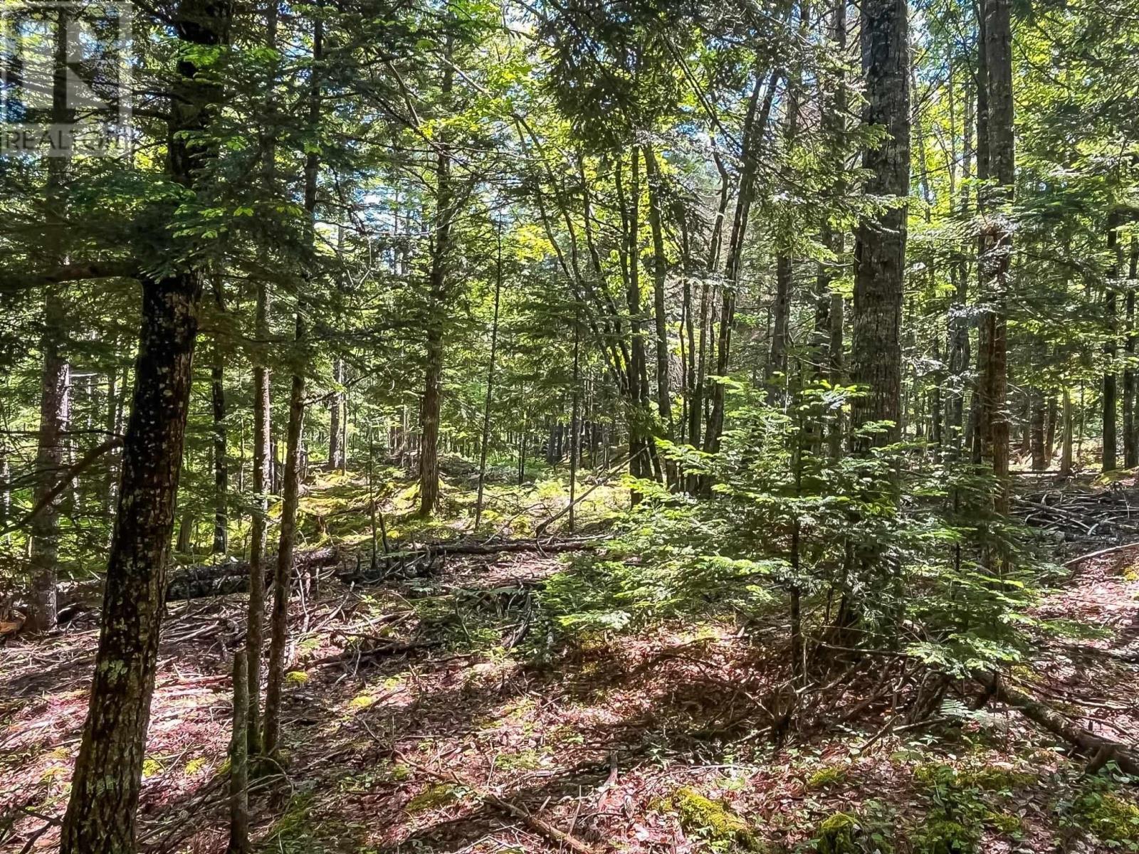Lot 1000 Conquerall Road Property Photo 4