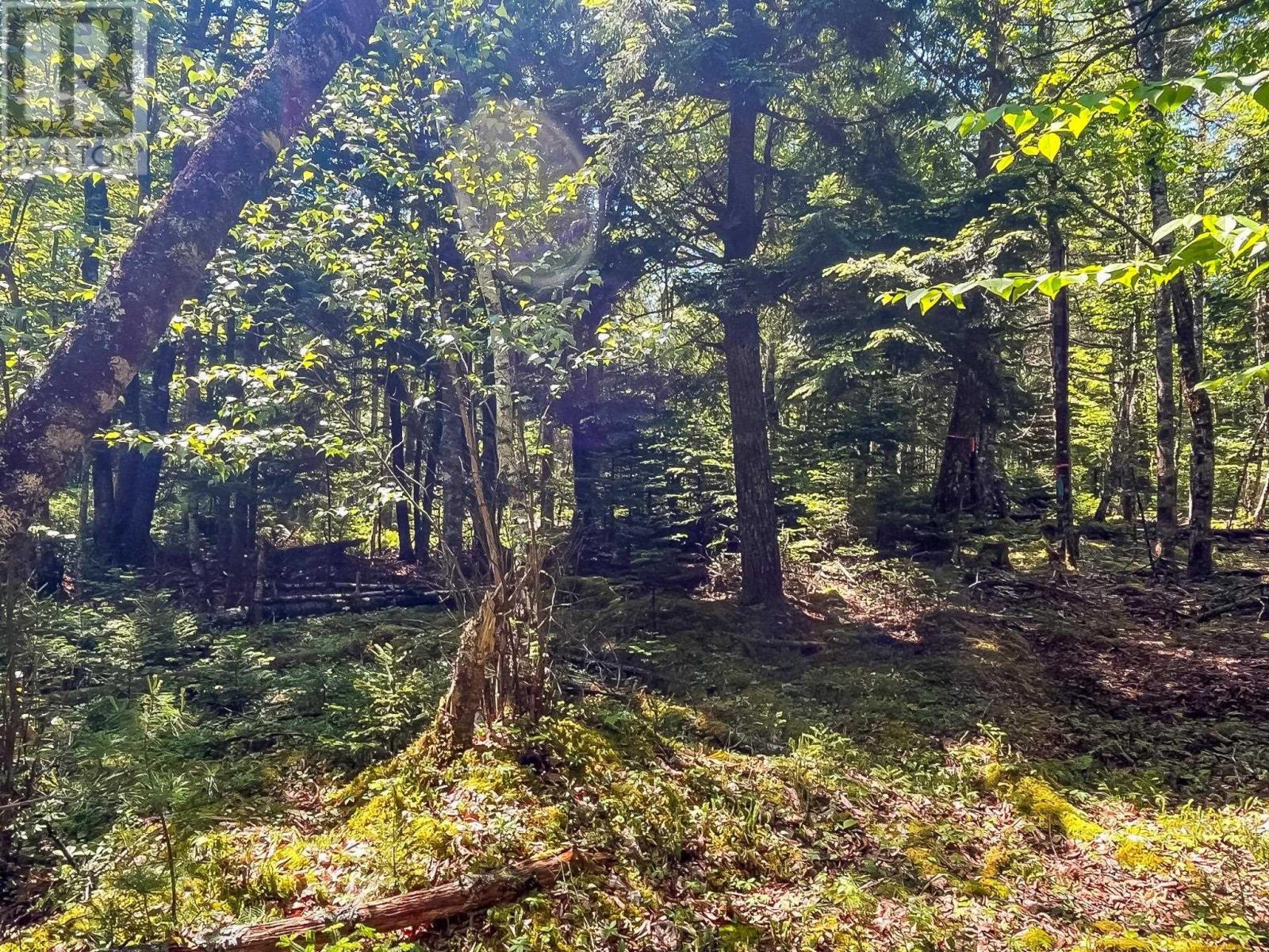 Lot 1000 Conquerall Road Property Photo 5