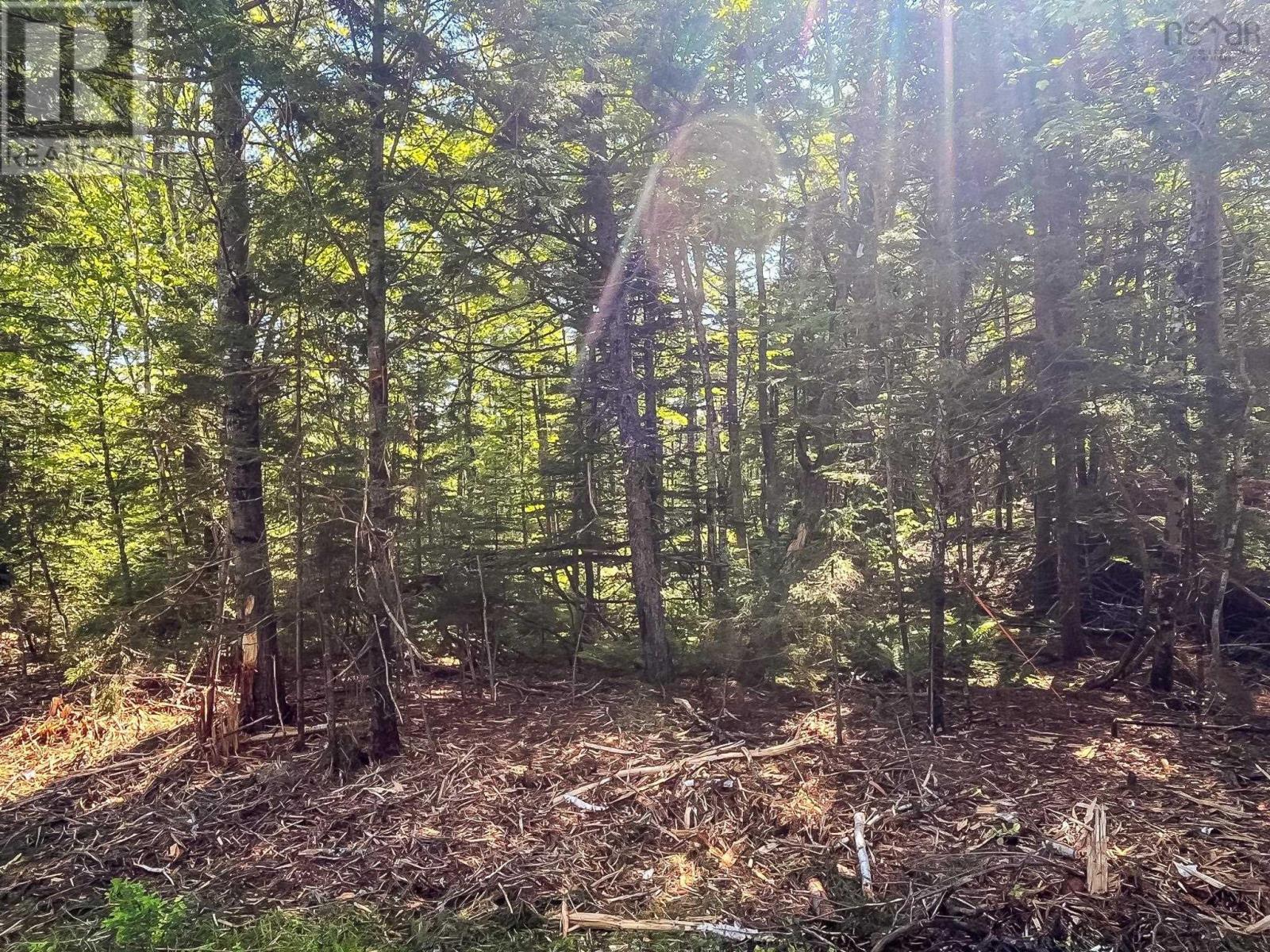 Lot 1000 Conquerall Road Property Photo 6