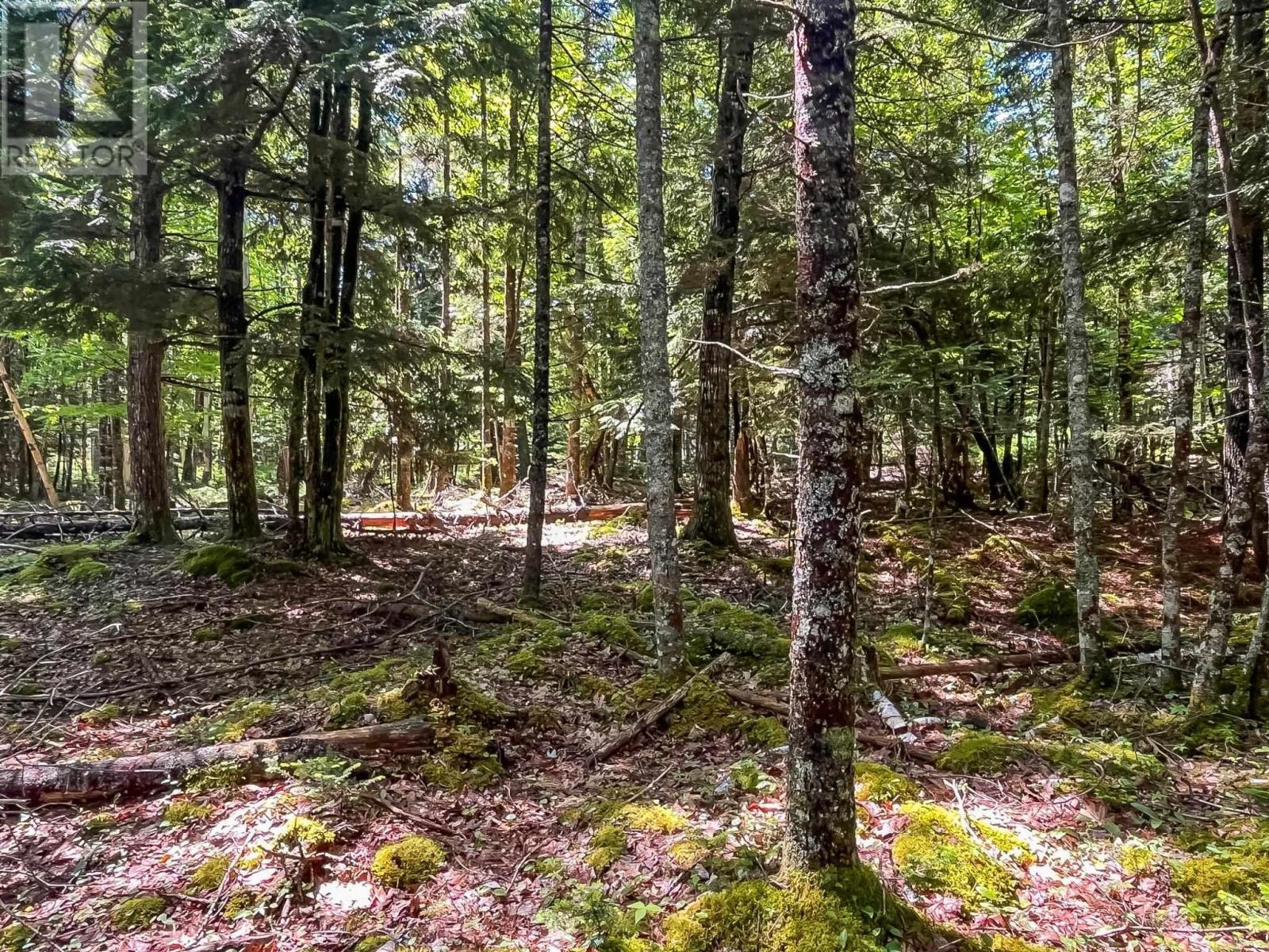 Lot 1000 Conquerall Road Property Photo 7