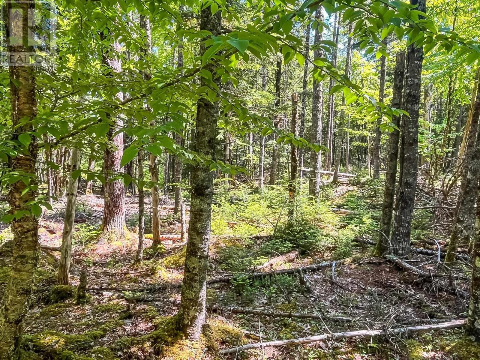 Lot 1000 Conquerall Road Property Photo 8