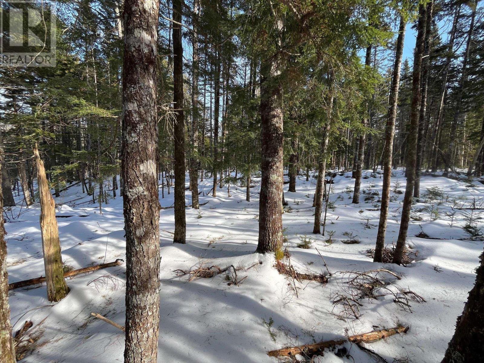 Lot 1000 Conquerall Road Property Photo 10