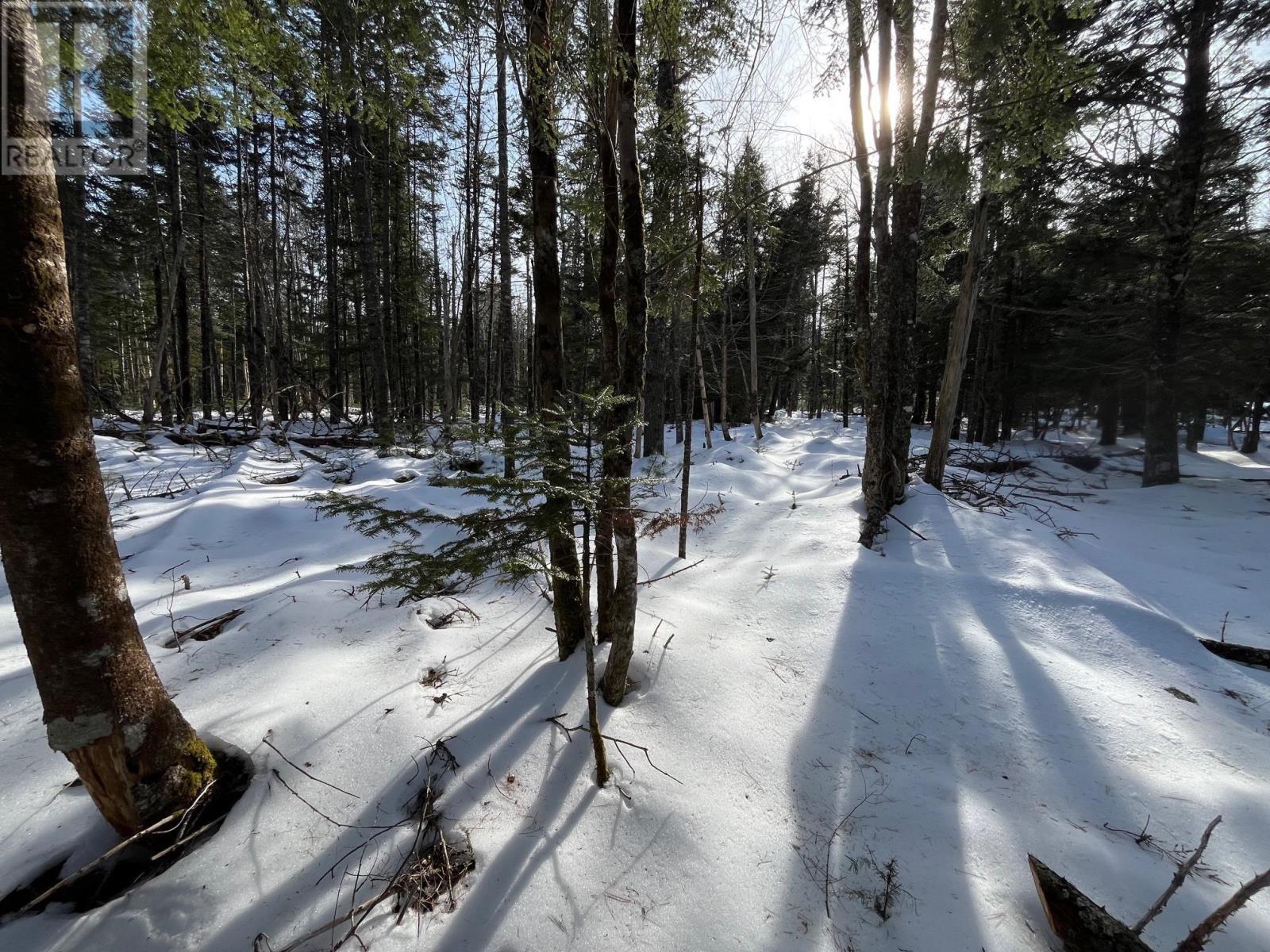 Lot 1000 Conquerall Road Property Photo 11