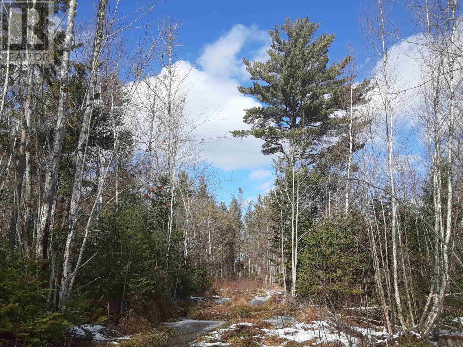 Lot Pid30143853 Parker Road, Pid#30143853 Property Photo