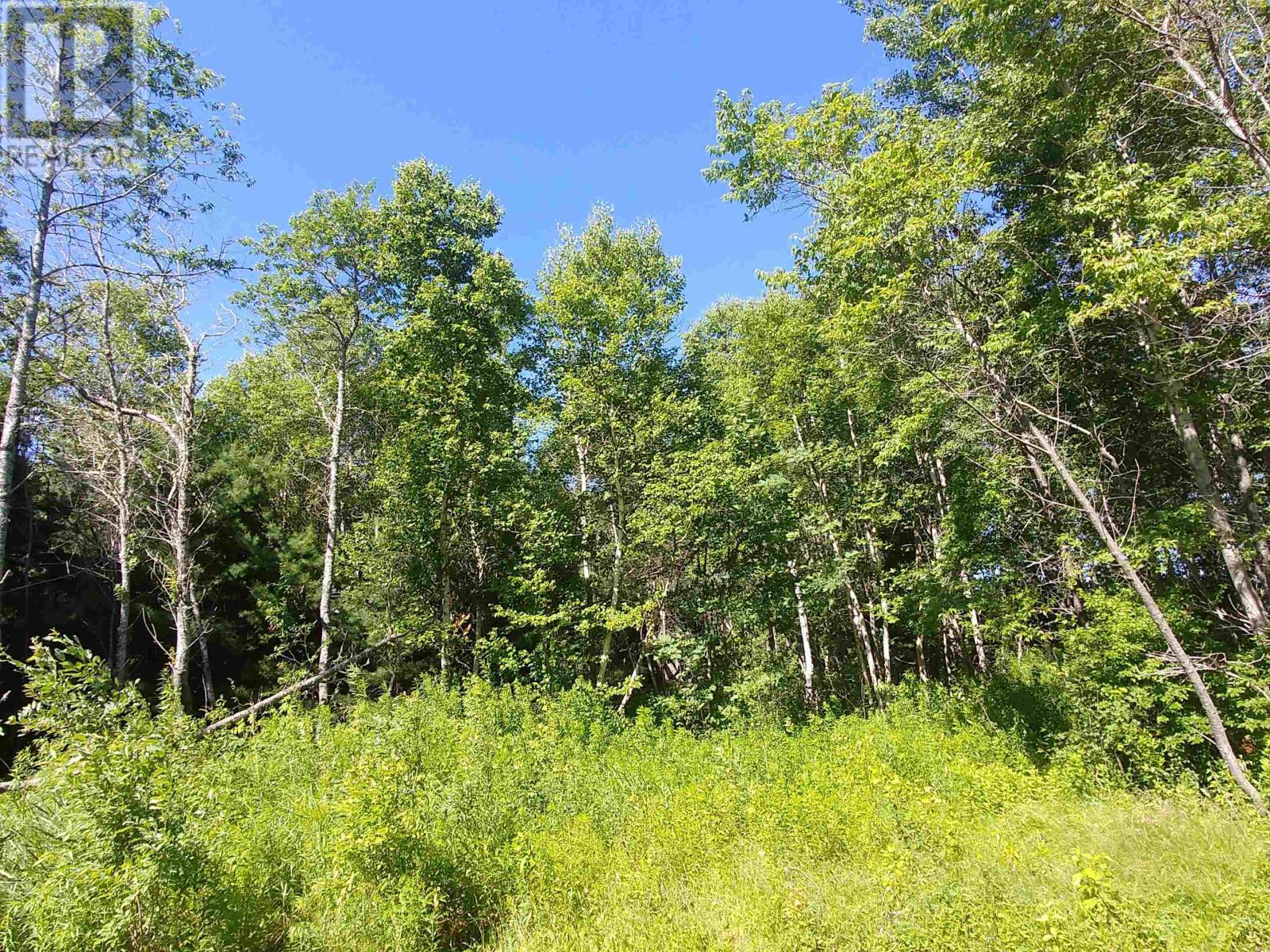 Acreage Birch Lane Property Photo 6