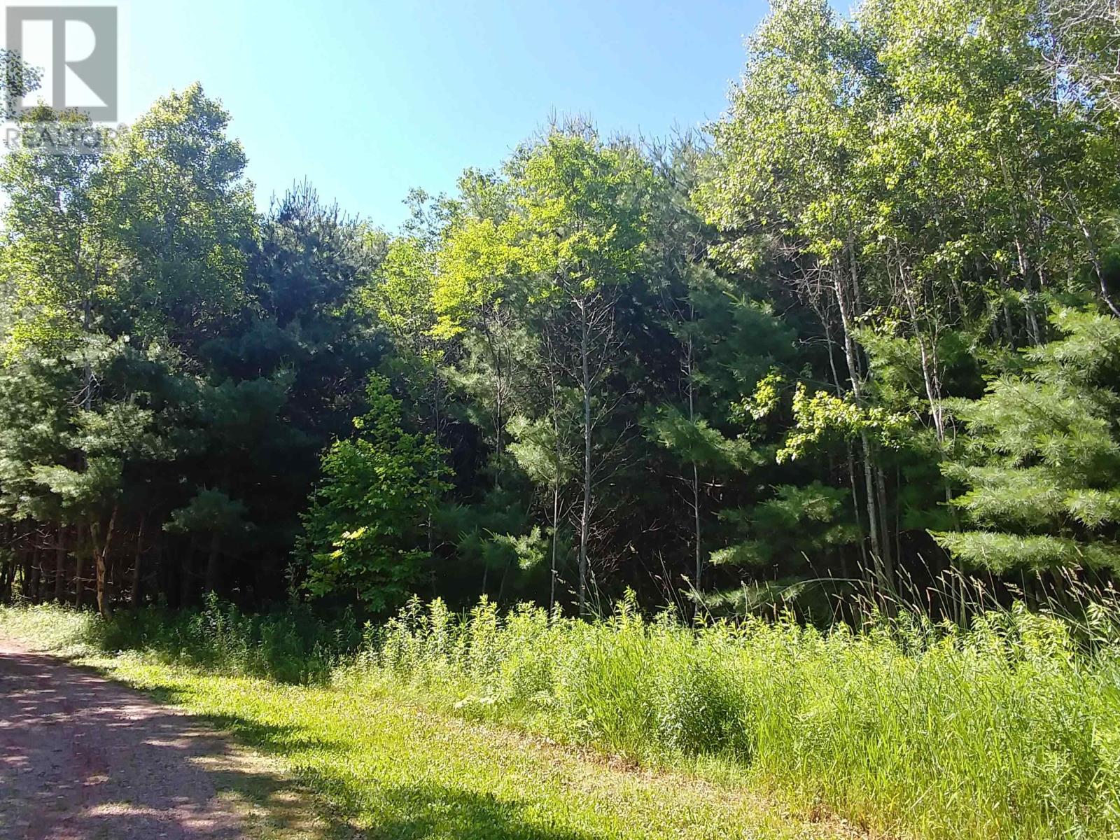 Acreage Birch Lane Property Photo 7