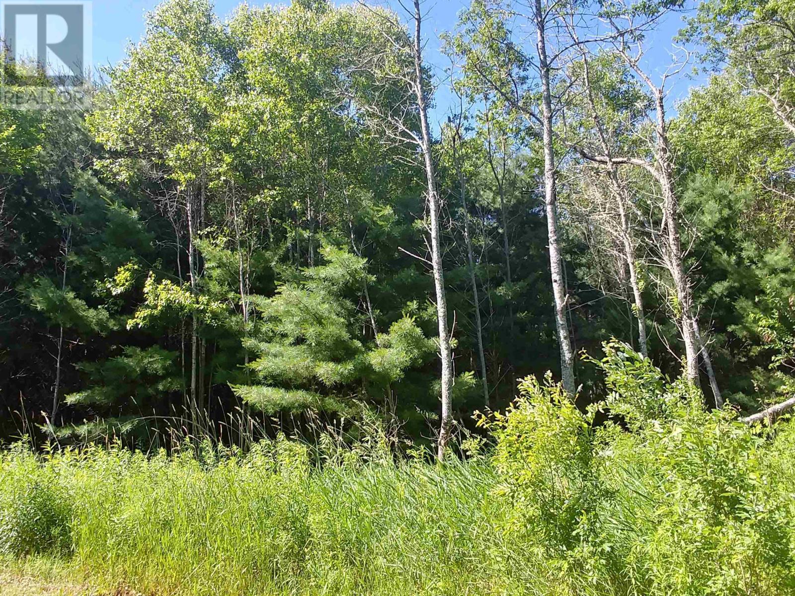 Acreage Birch Lane Property Photo 8