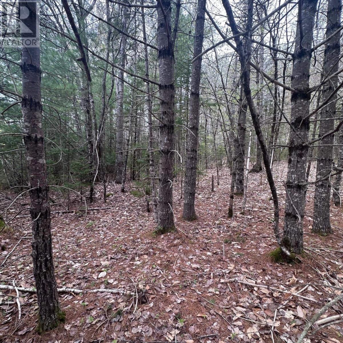 Lot 10 Moose Pit Road Property Photo 1