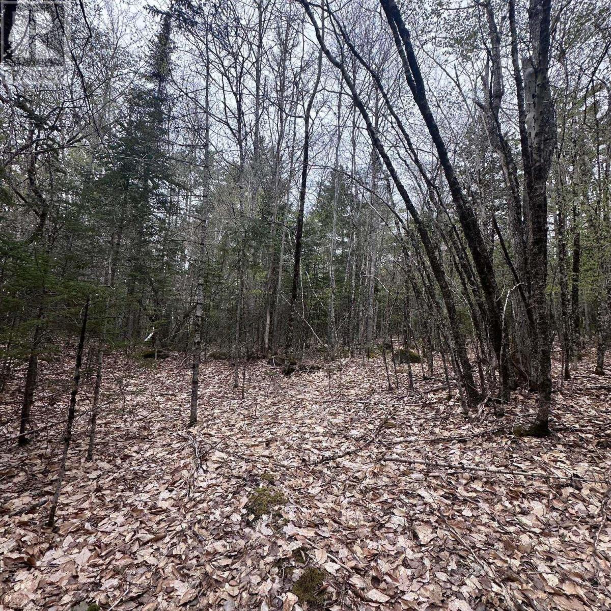 Lot 10 Moose Pit Road Property Photo 2