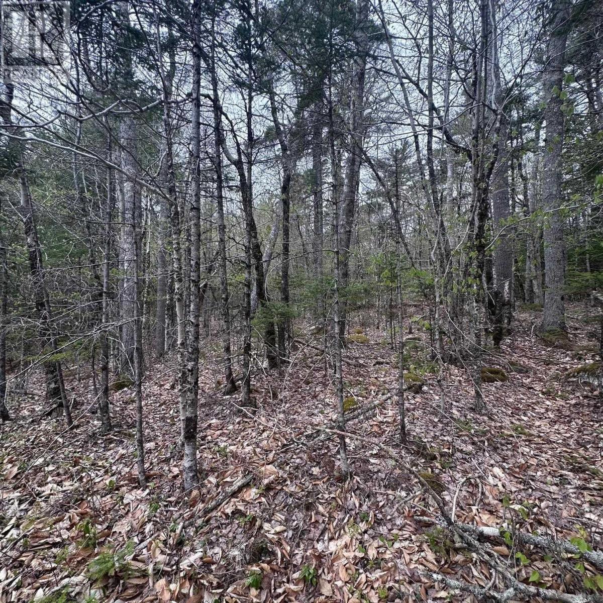 Lot 10 Moose Pit Road Property Photo 3