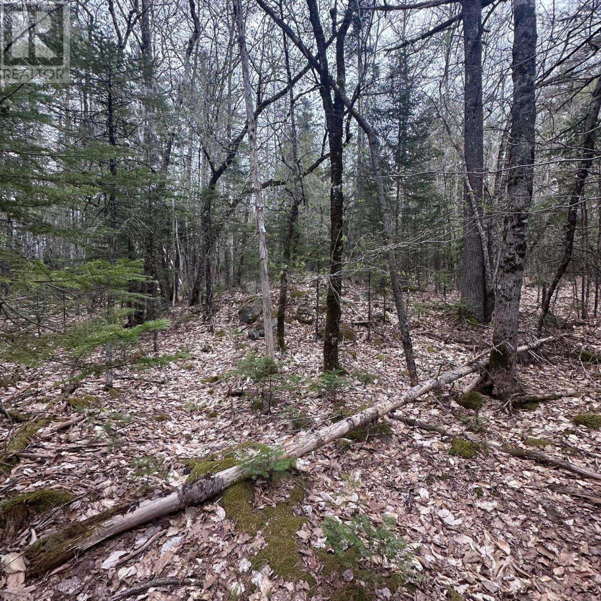 Lot 10 Moose Pit Road Property Photo 4