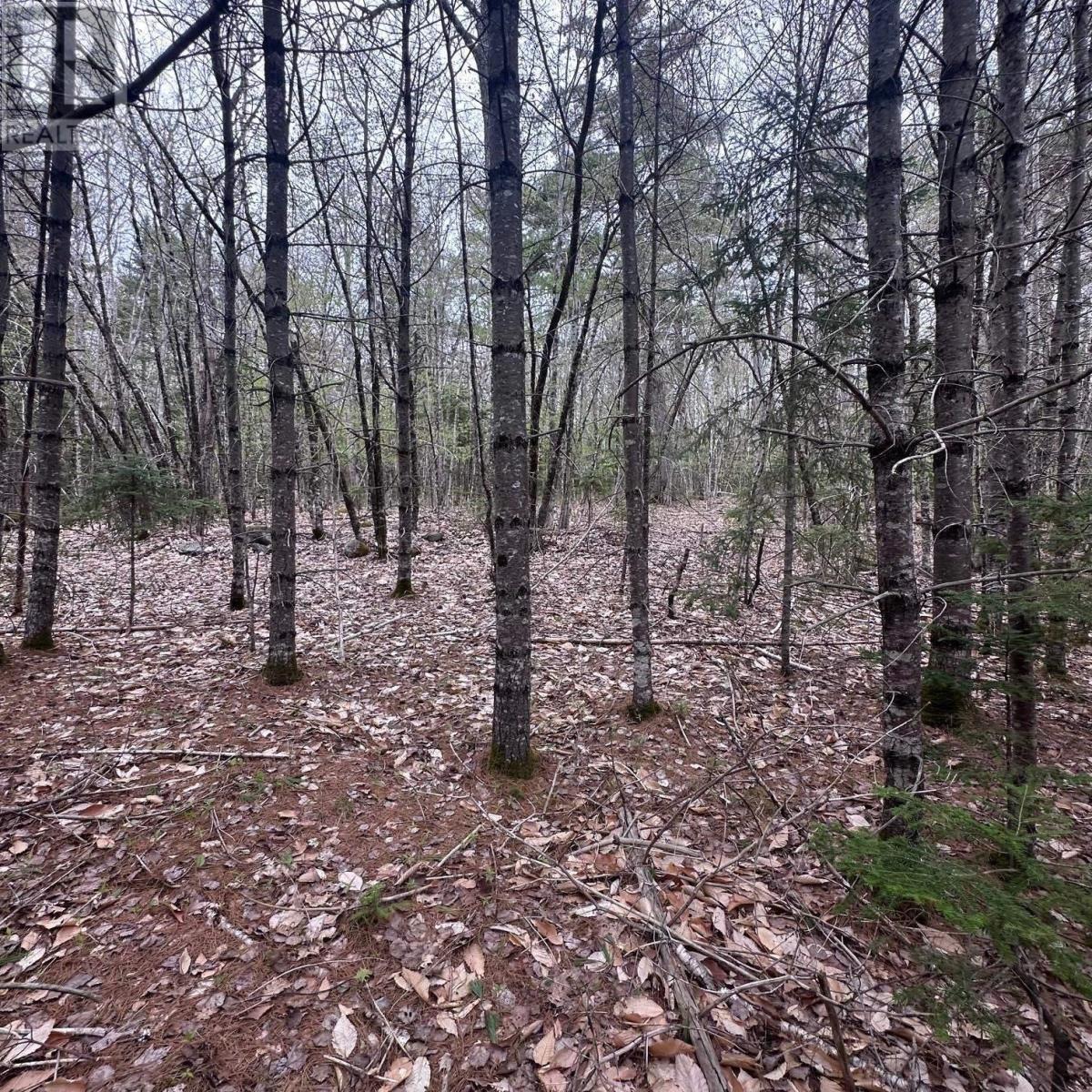 Lot 10 Moose Pit Road Property Photo 6