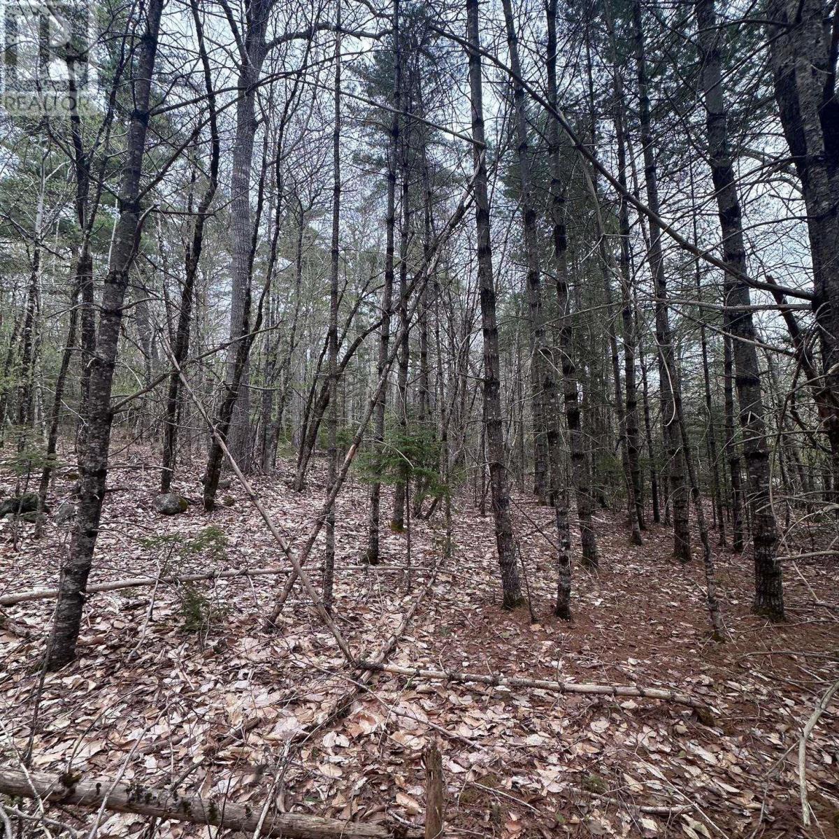 Lot 10 Moose Pit Road Property Photo 7