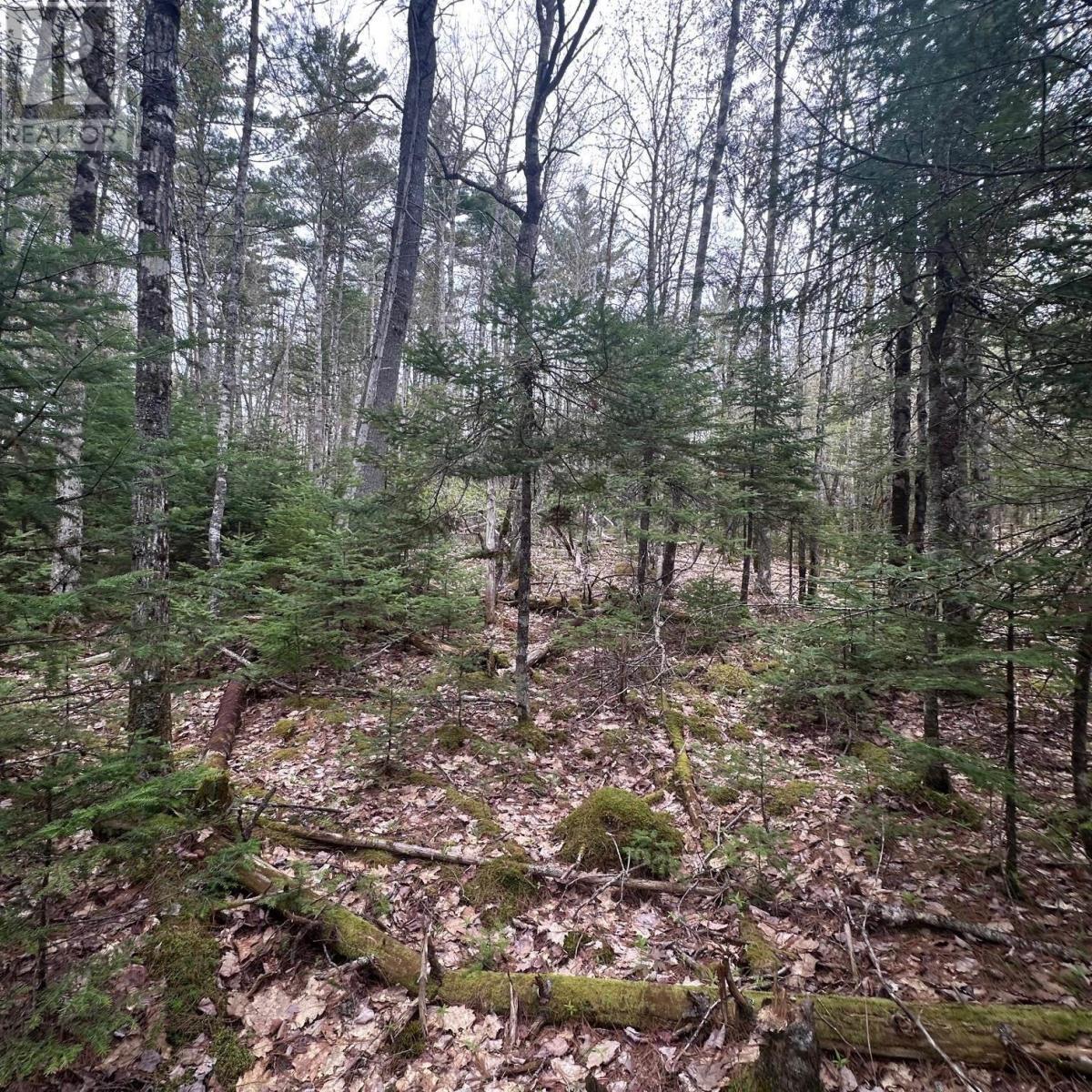 Lot 10 Moose Pit Road Property Photo 11