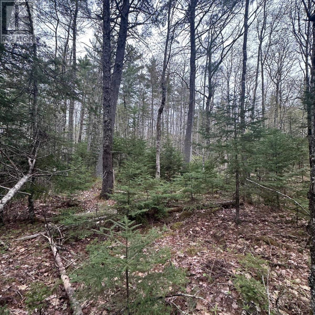 Lot 10 Moose Pit Road Property Photo 12
