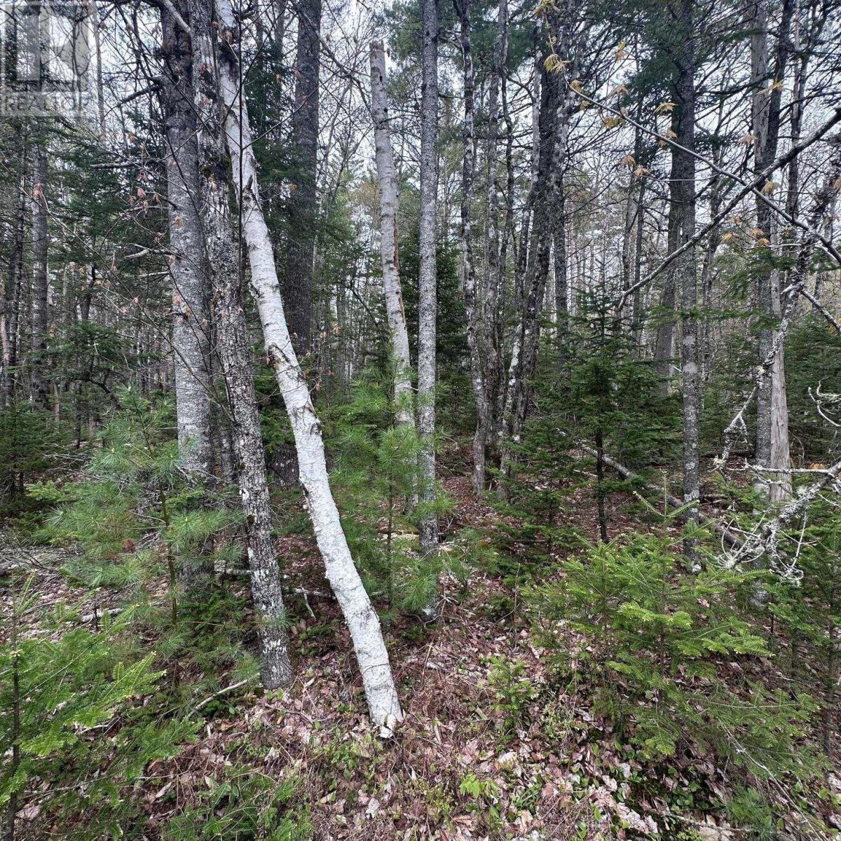 Lot 10 Moose Pit Road Property Photo 14