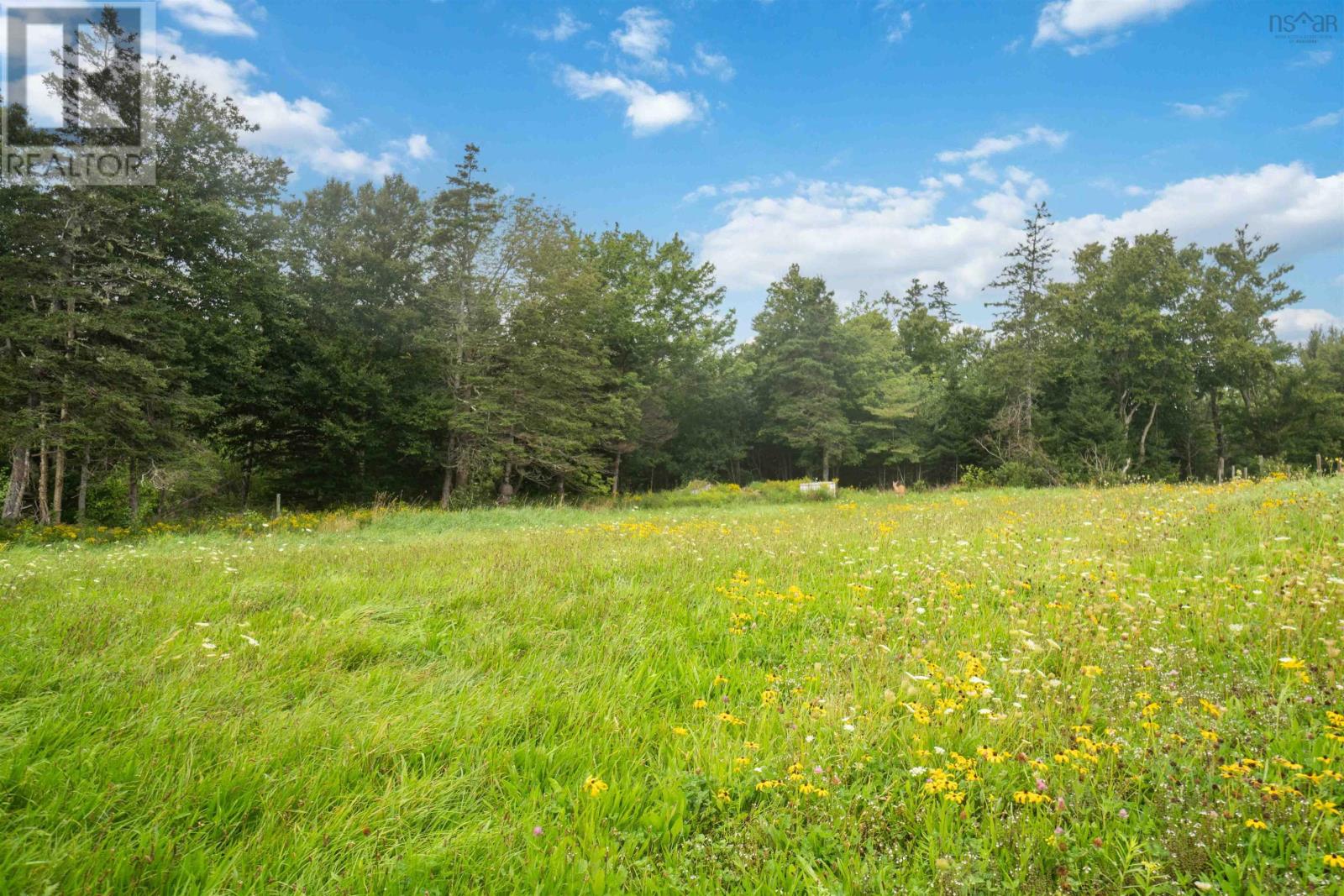 8835 Highway 217 Property Photo 17