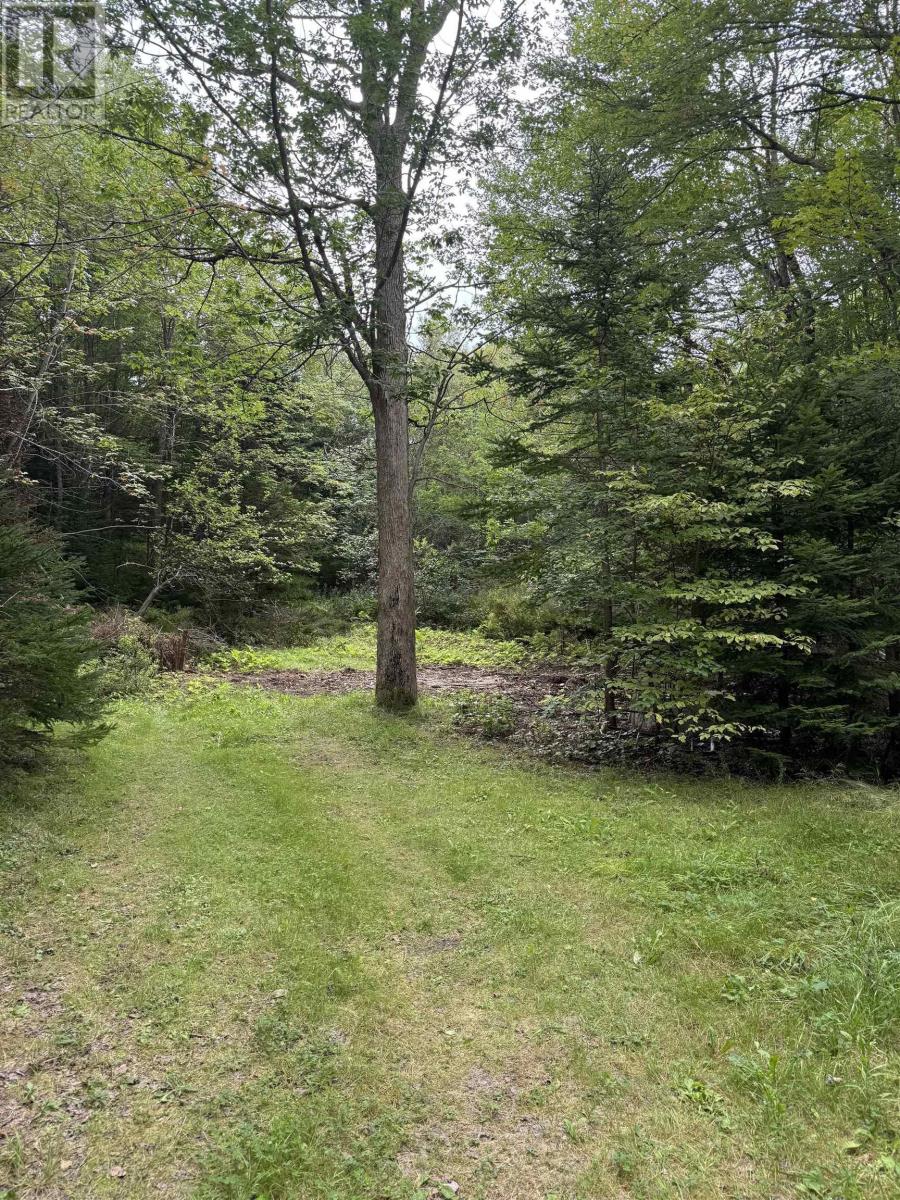 2553 Morse Road Property Photo 4