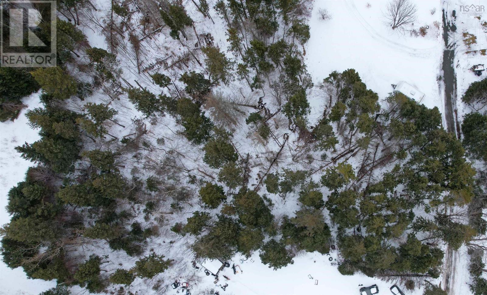 Polar Bear Lane Property Photo 5