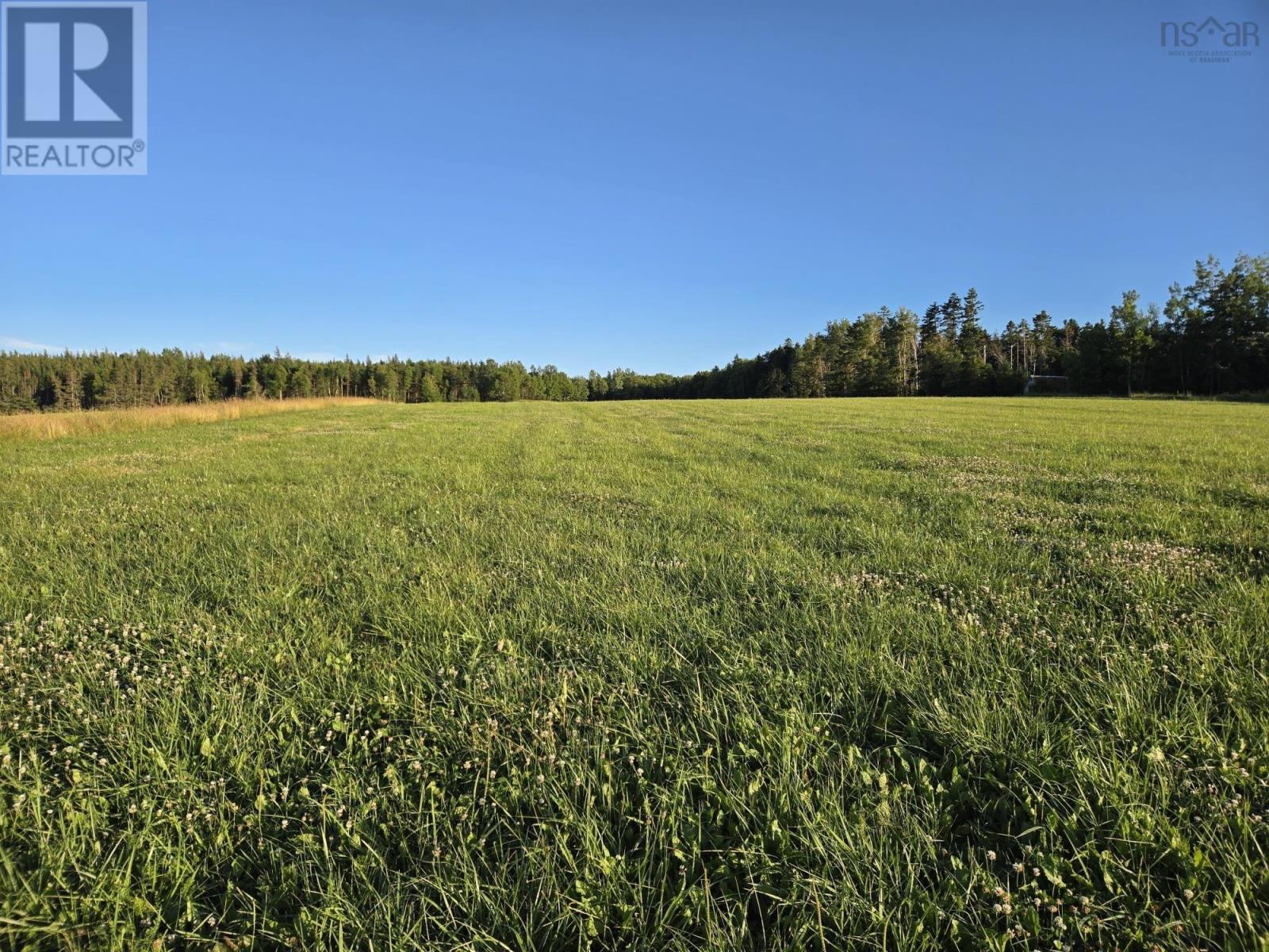 Lot 1 Highway 215 Property Photo 6