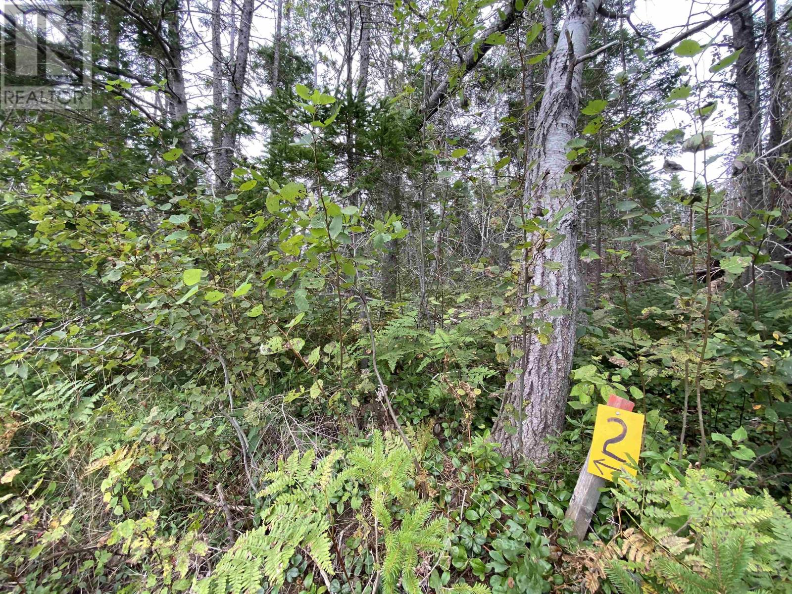 Lot 2 Floating Bridge Road Property Photo 5