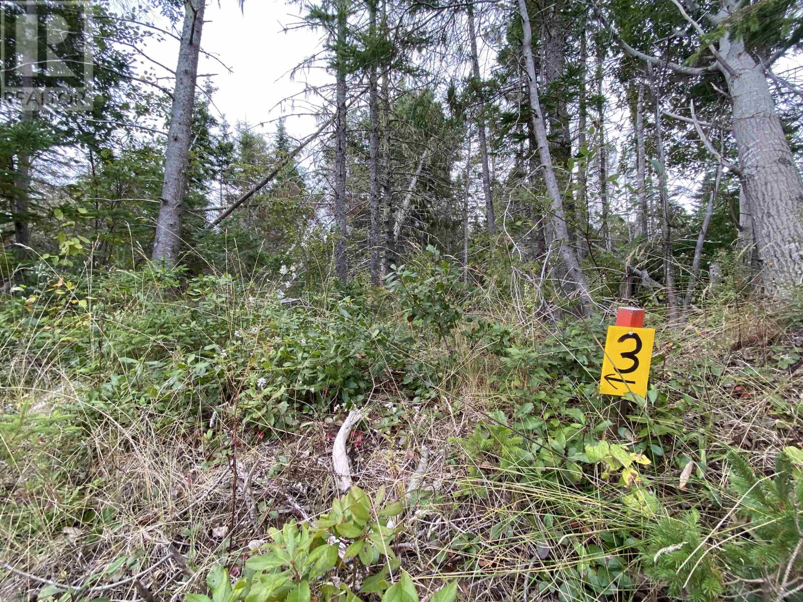 Lot 3 Floating Bridge Road Property Photo 1