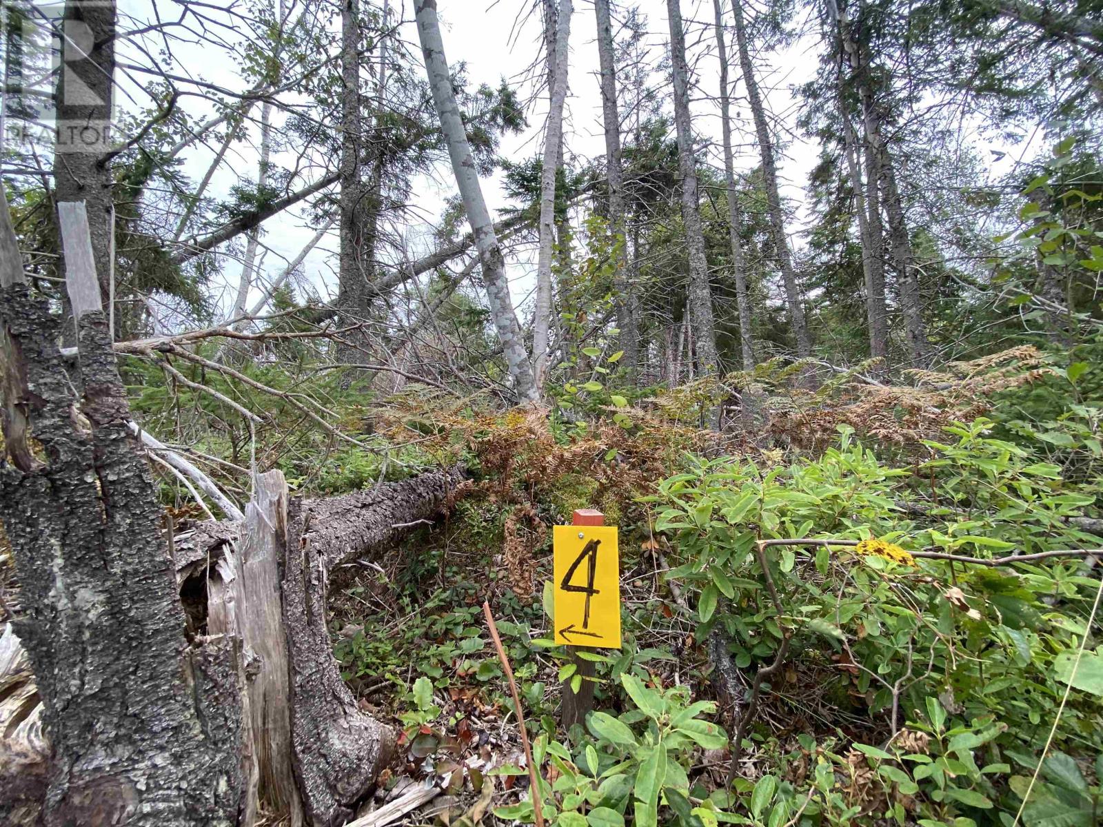 Lot 4 Floating Bridge Road Property Photo 1