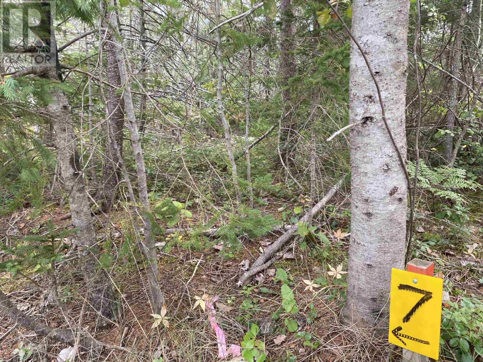 Lot 7 Floating Bridge Road Property Photo 1