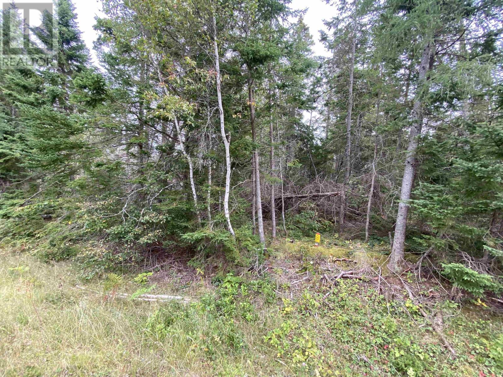Lot 8 Floating Bridge Road Property Photo 3