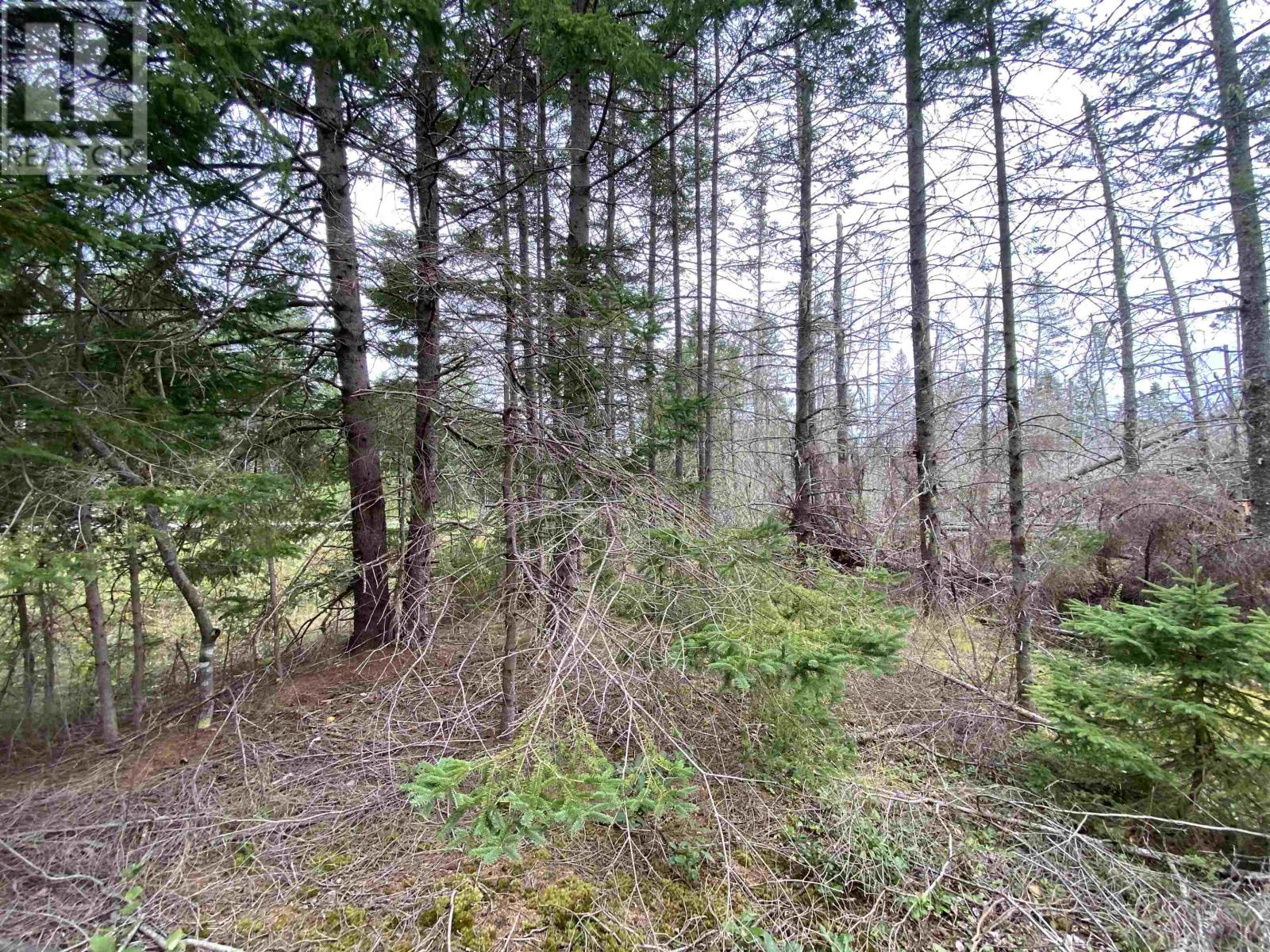 Lot 8 Floating Bridge Road Property Photo 7