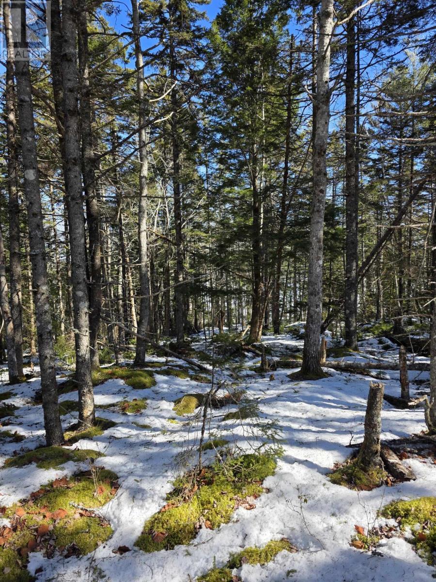 Lot 14 Island View Drive Property Photo 3