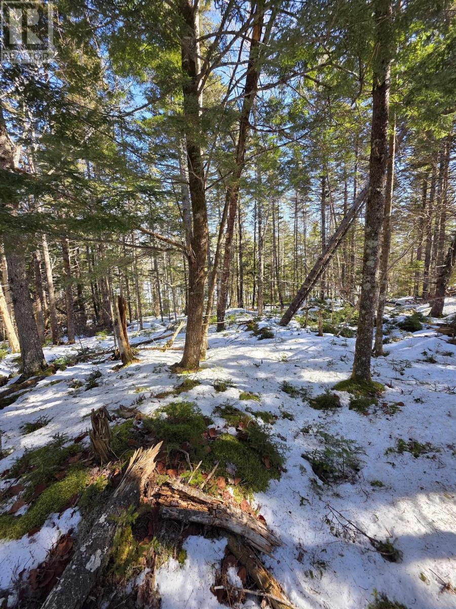 Lot 14 Island View Drive Property Photo 5