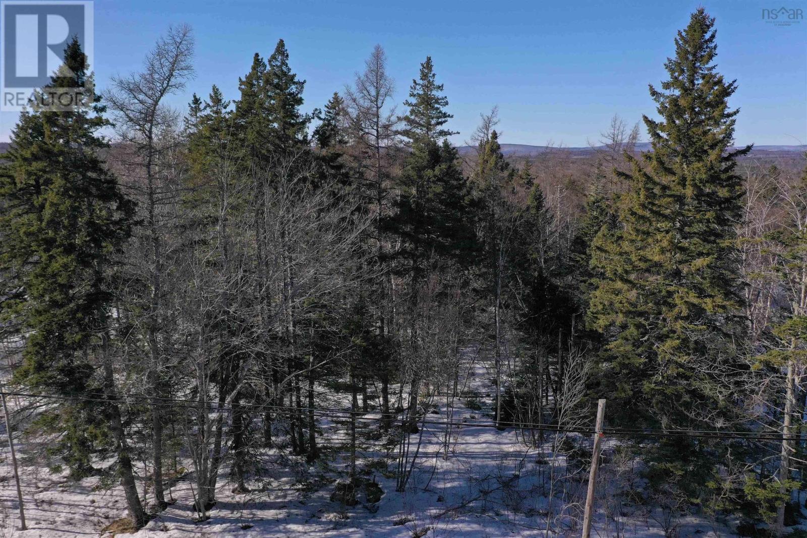 Lot 2 Highway 4, Mcintyre Lake Property Photo 2