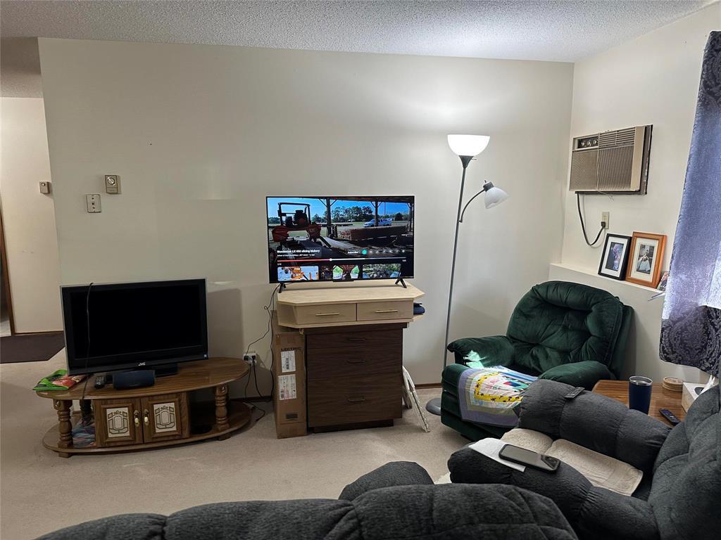 313 Struthers Street Property Photo 16