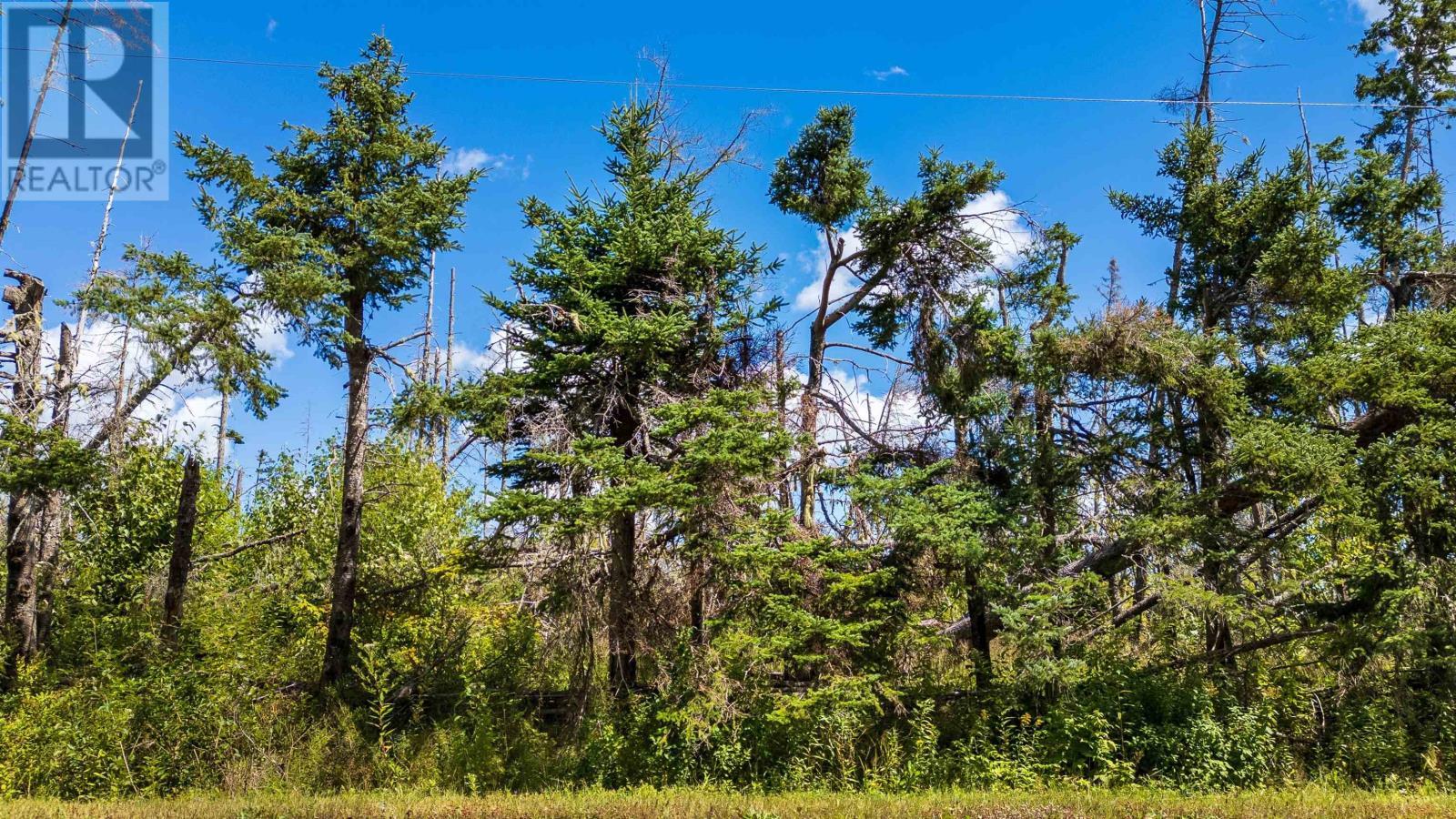 Lot 2 Sloane Road Property Photo 2